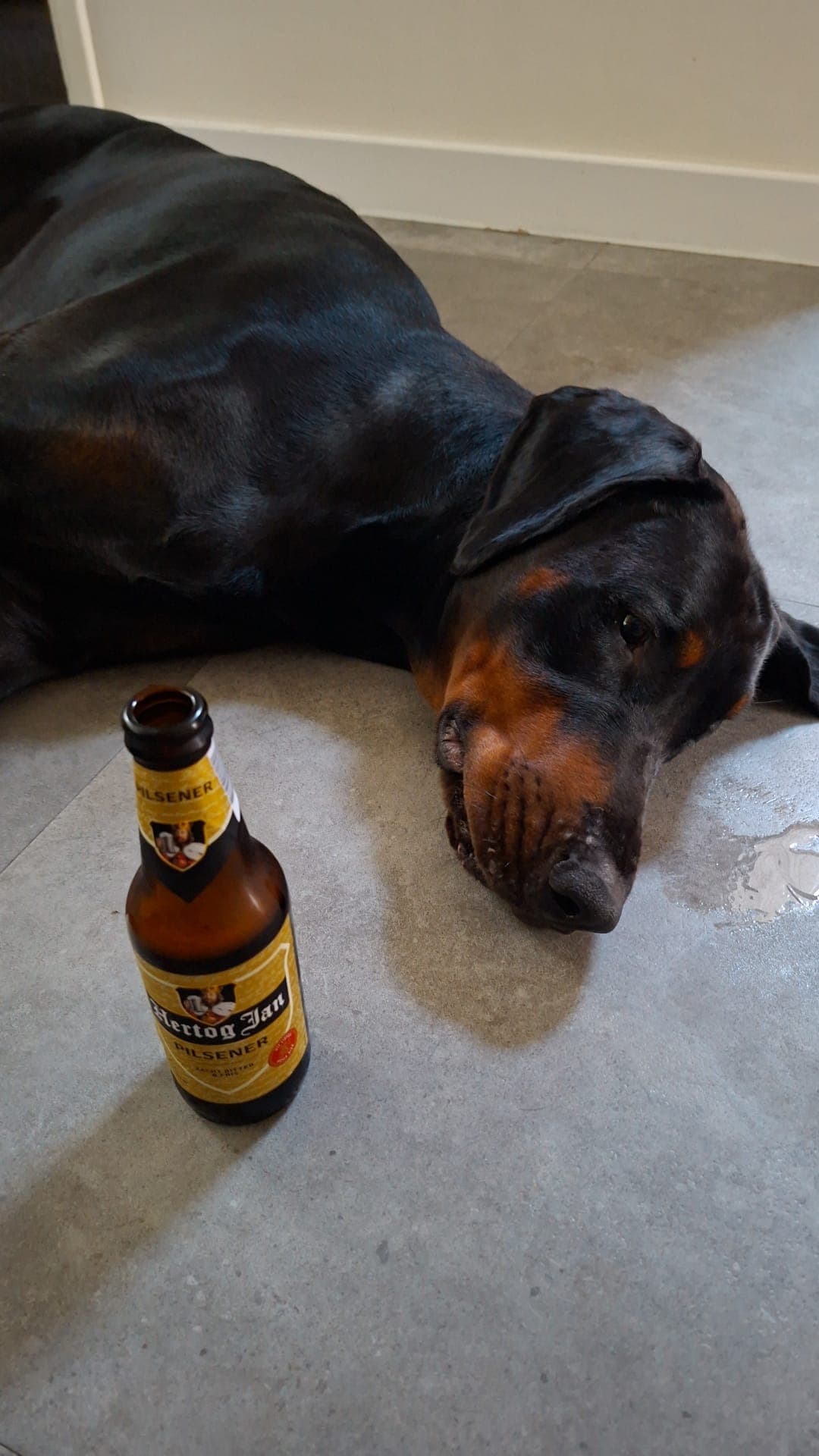 Beer #45378