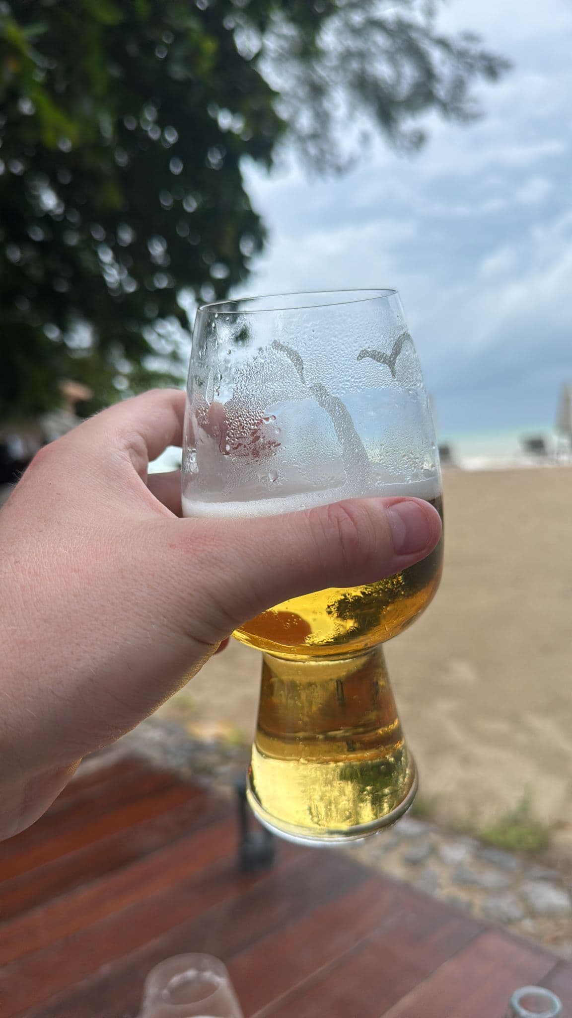 Beer #46211