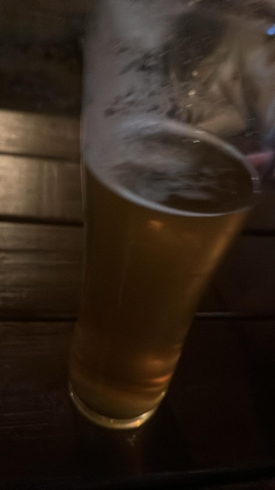 Beer #248