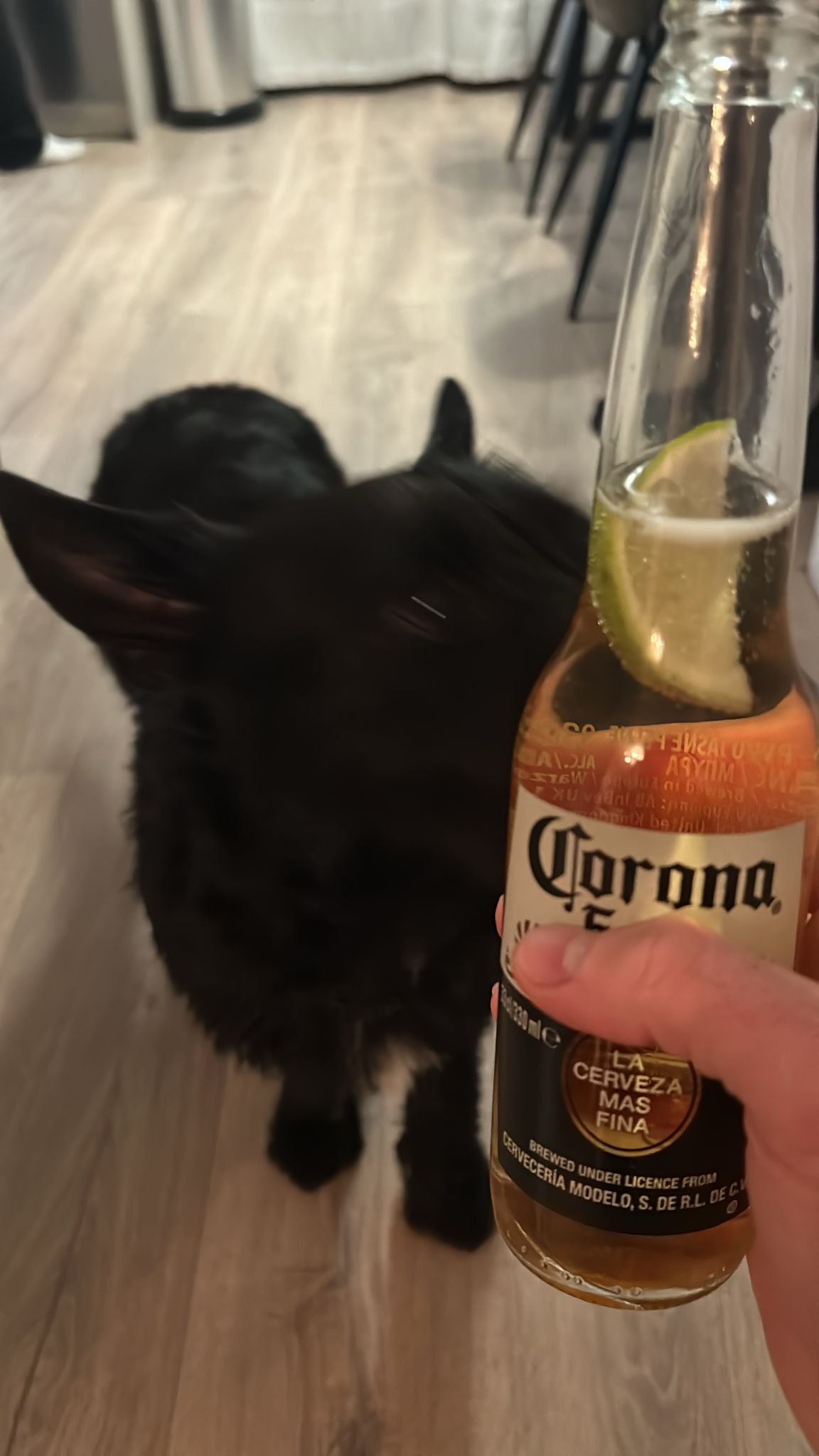 Beer #835
