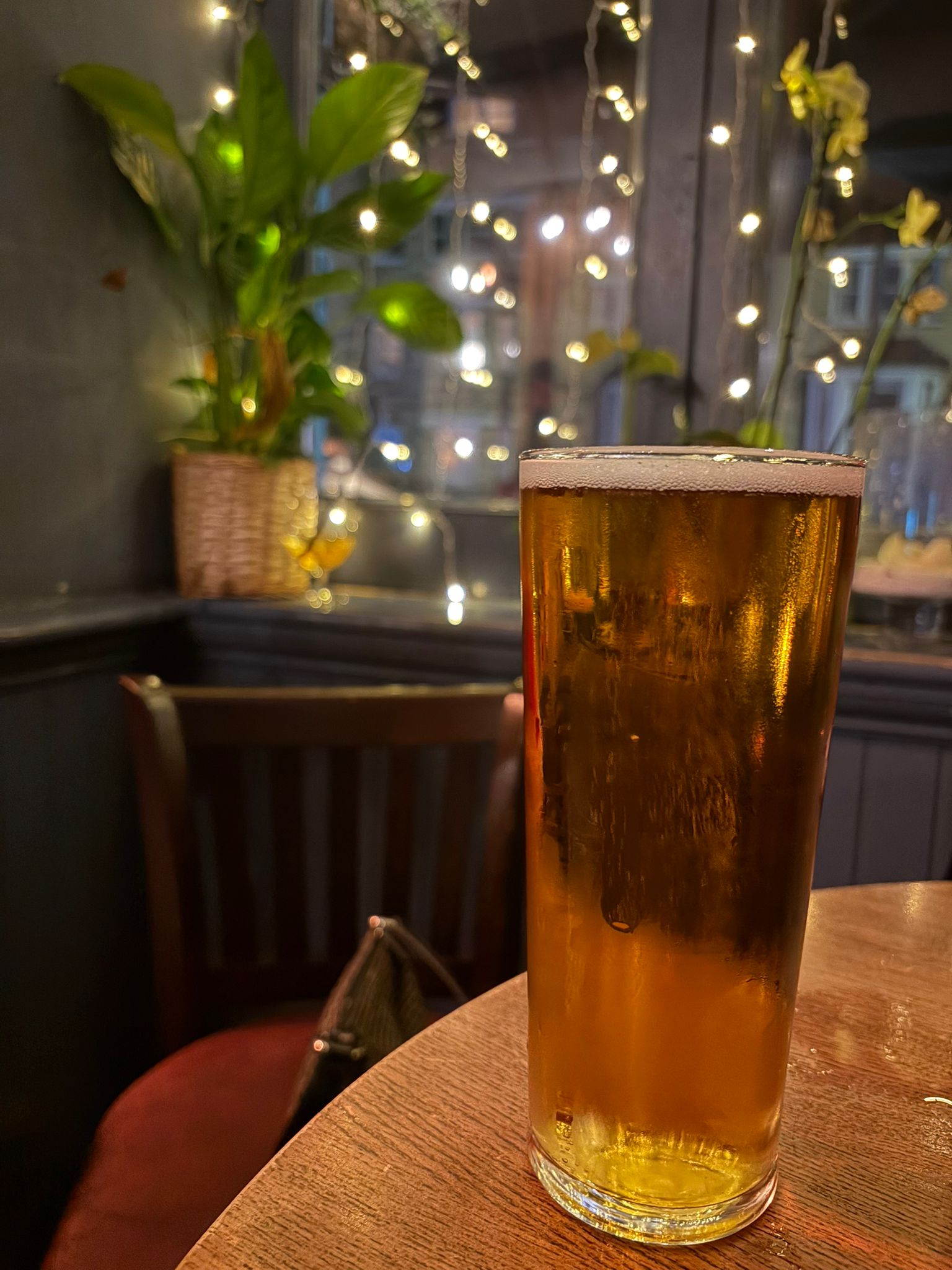 Beer #870