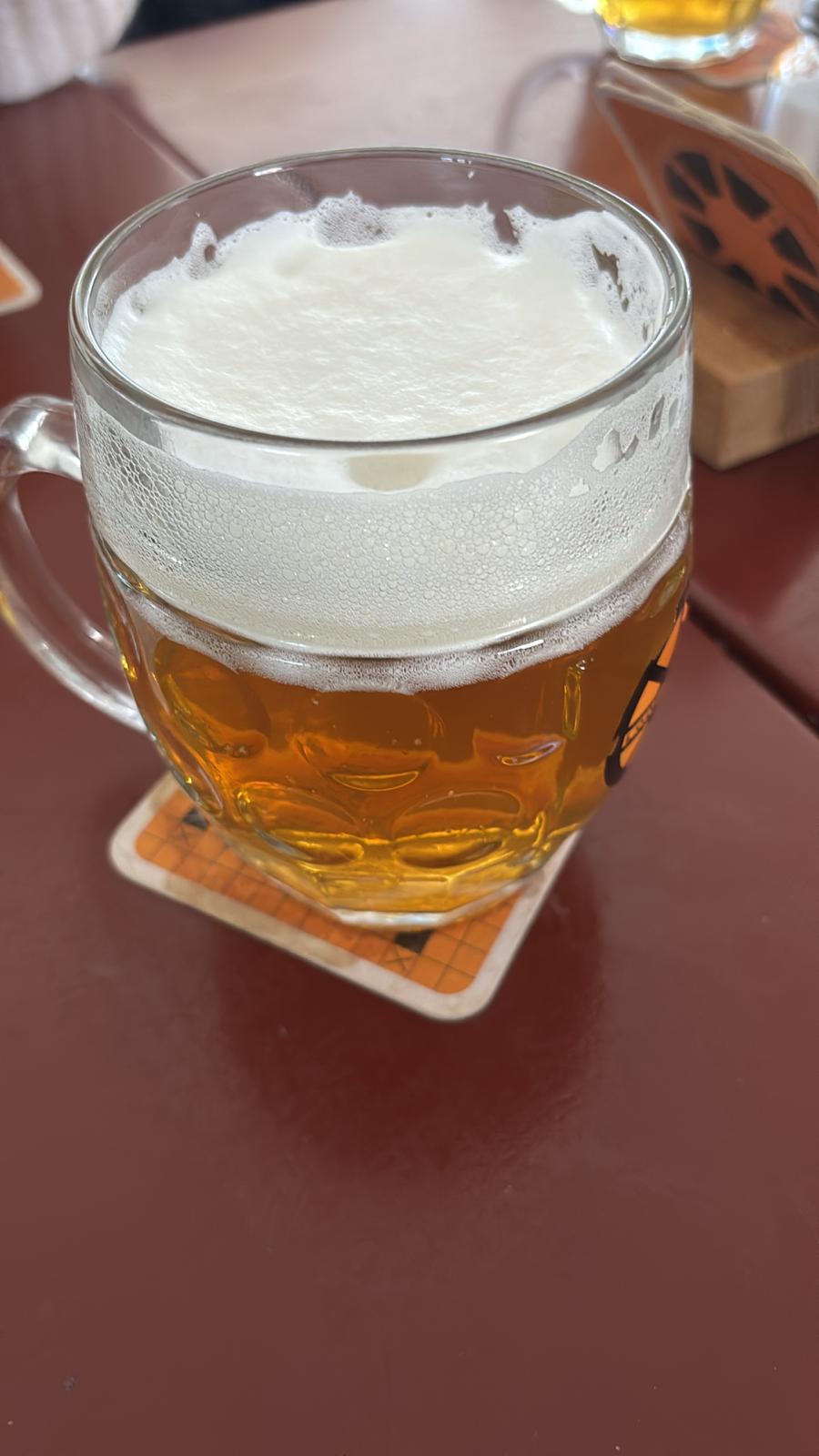 Beer #1100