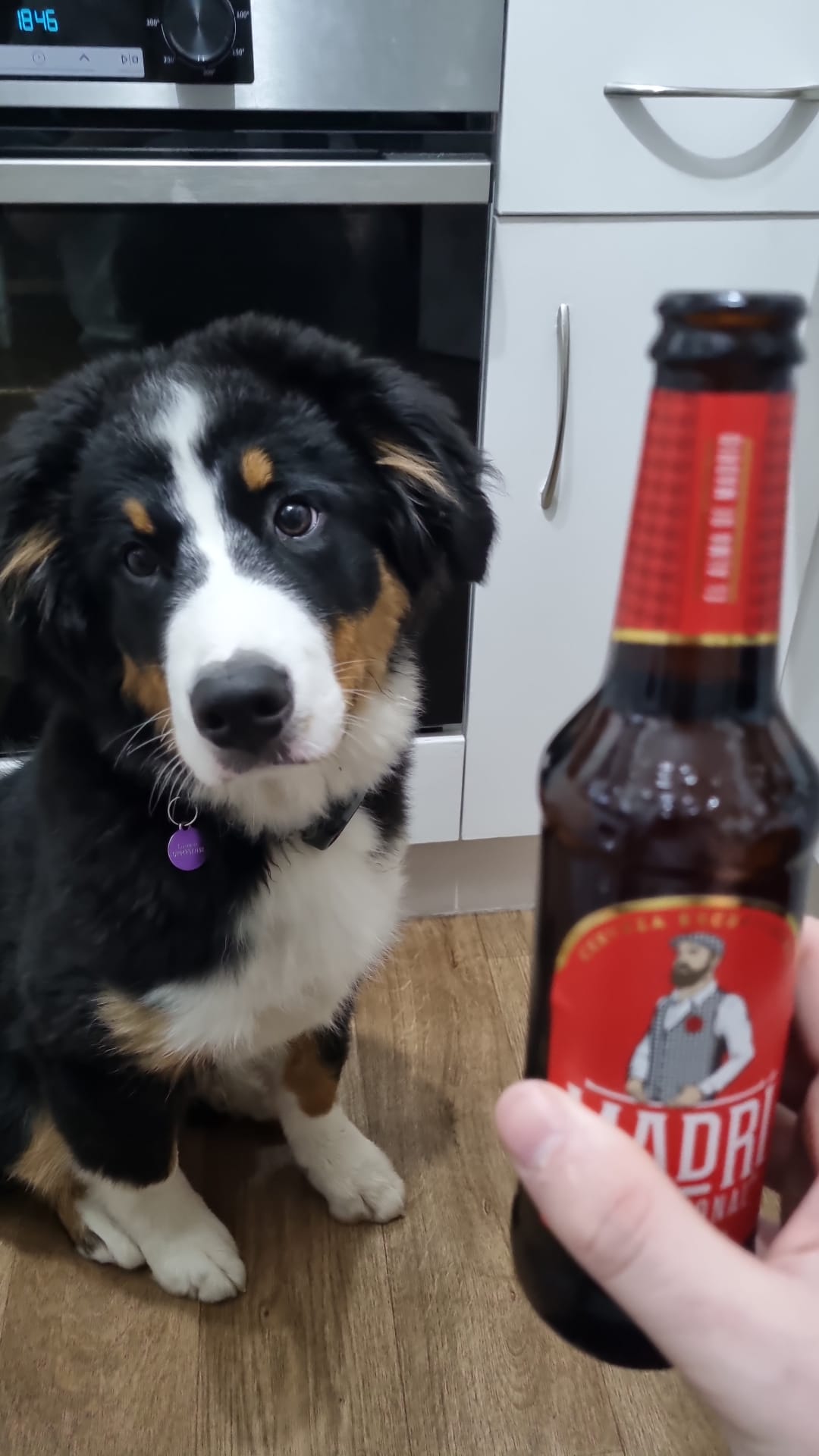 Beer #2481