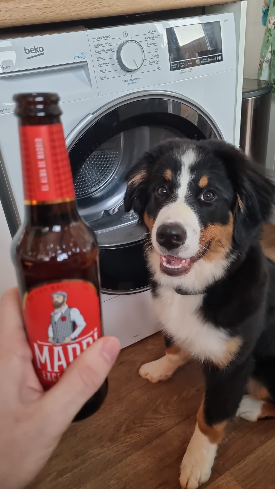 Beer #2731
