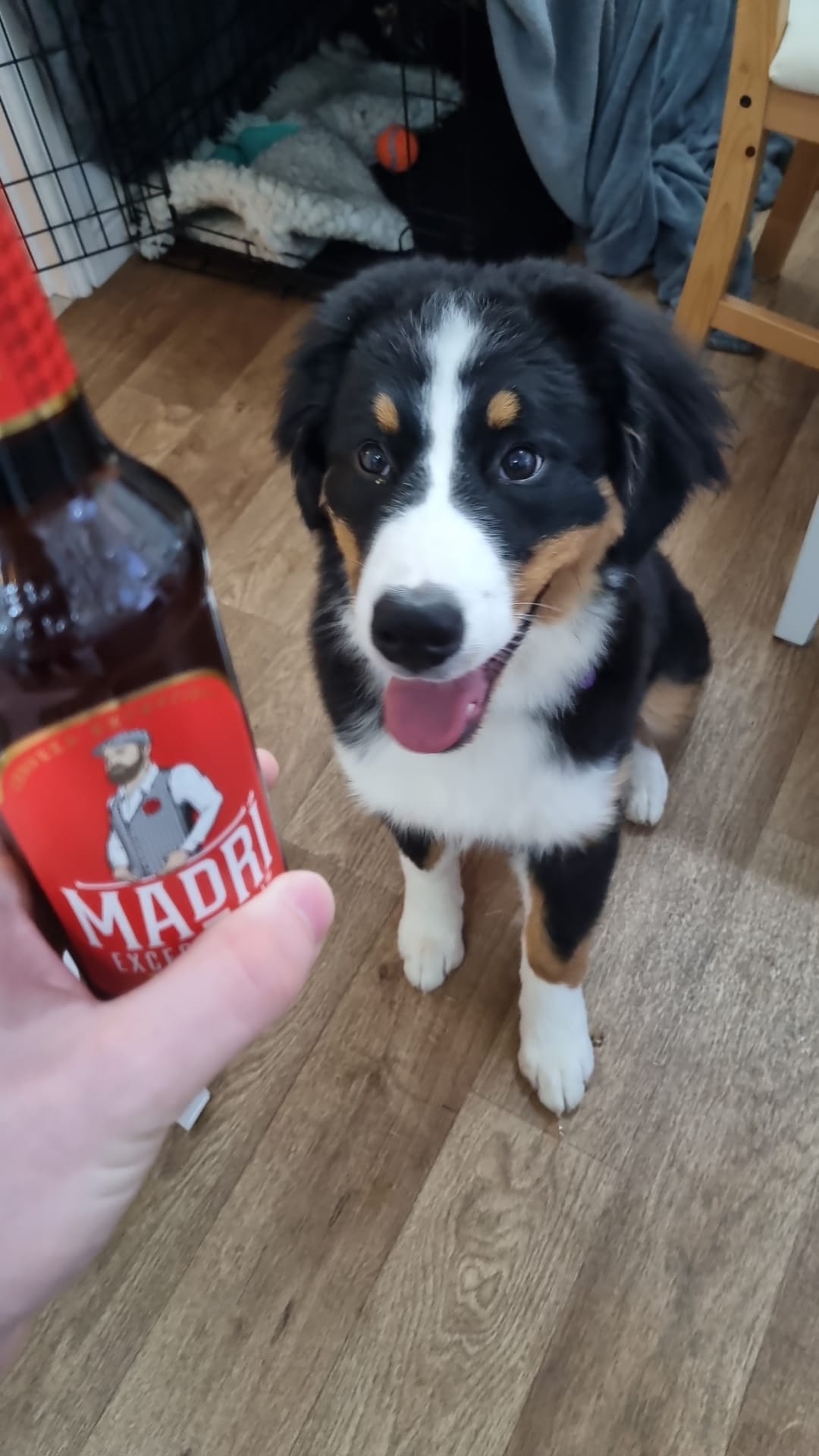 Beer #3432