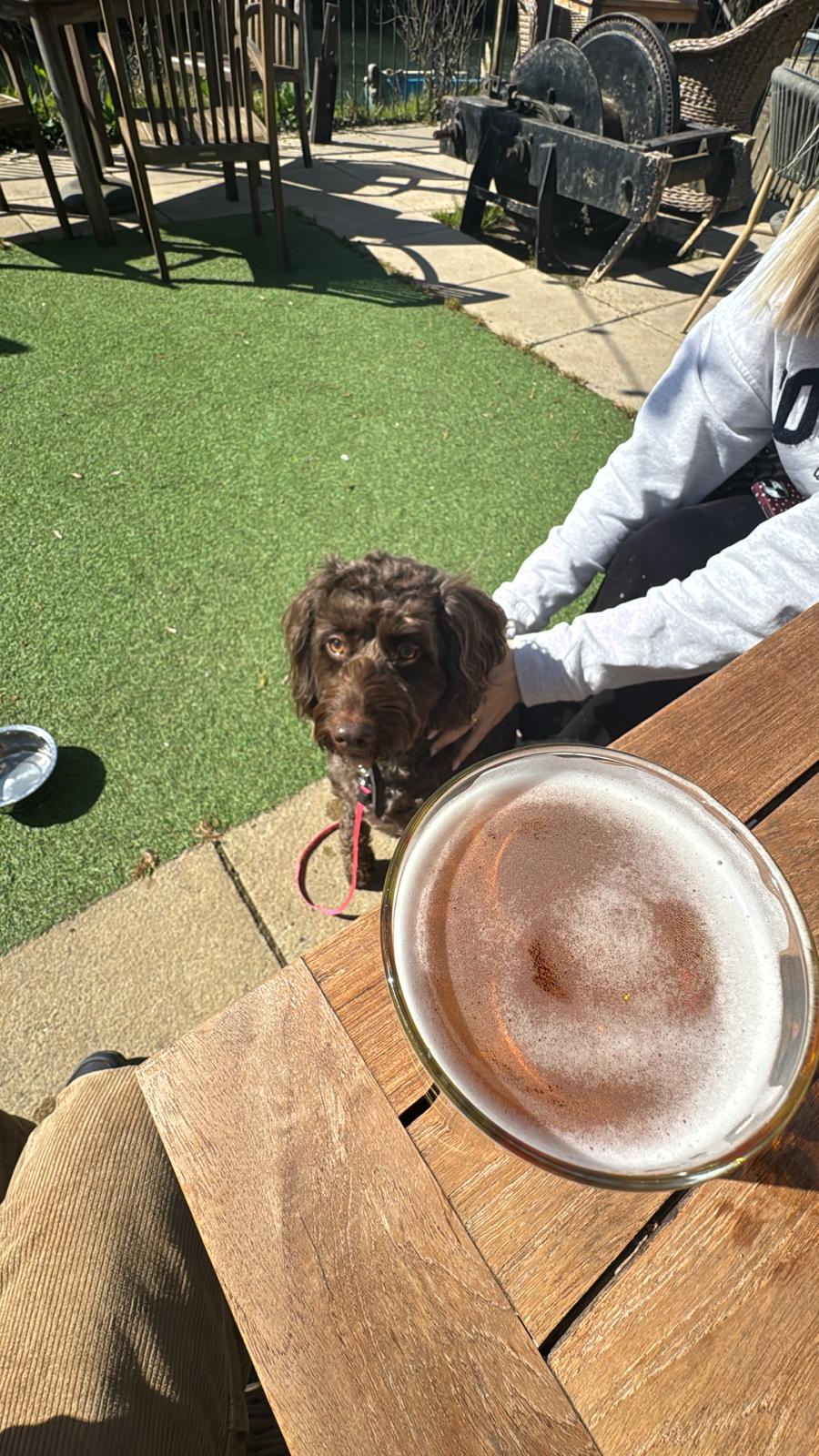 Beer #3539
