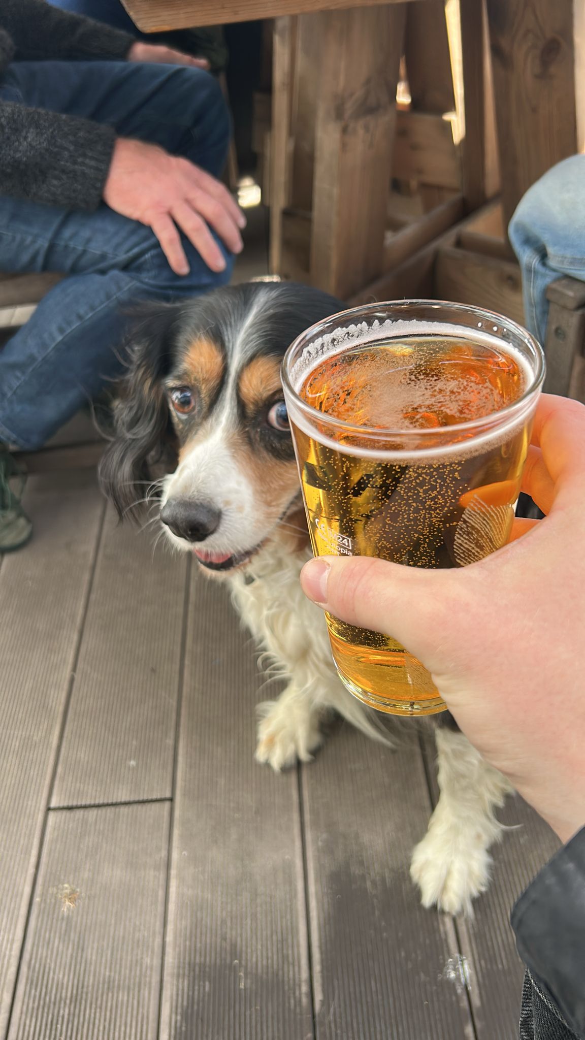 Beer #5523