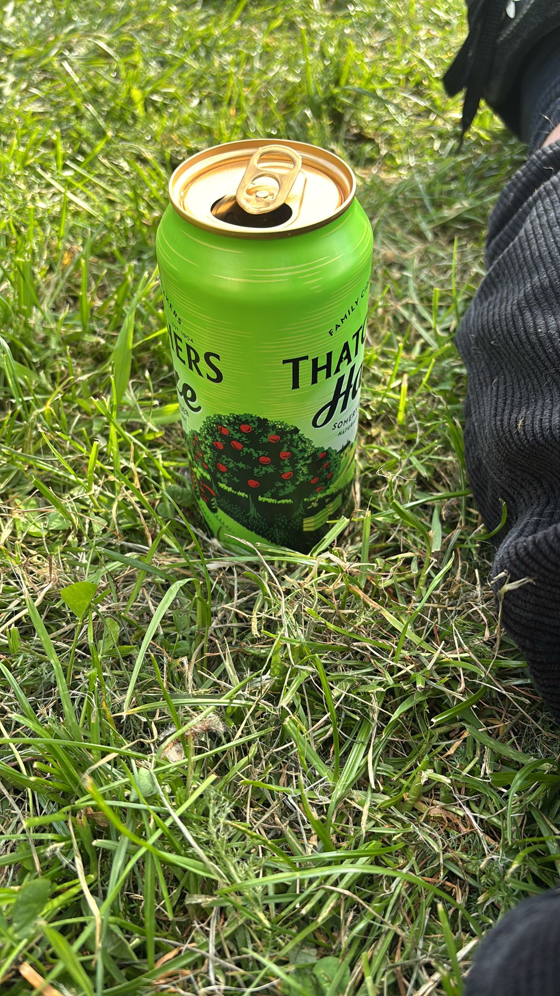 Beer #6568