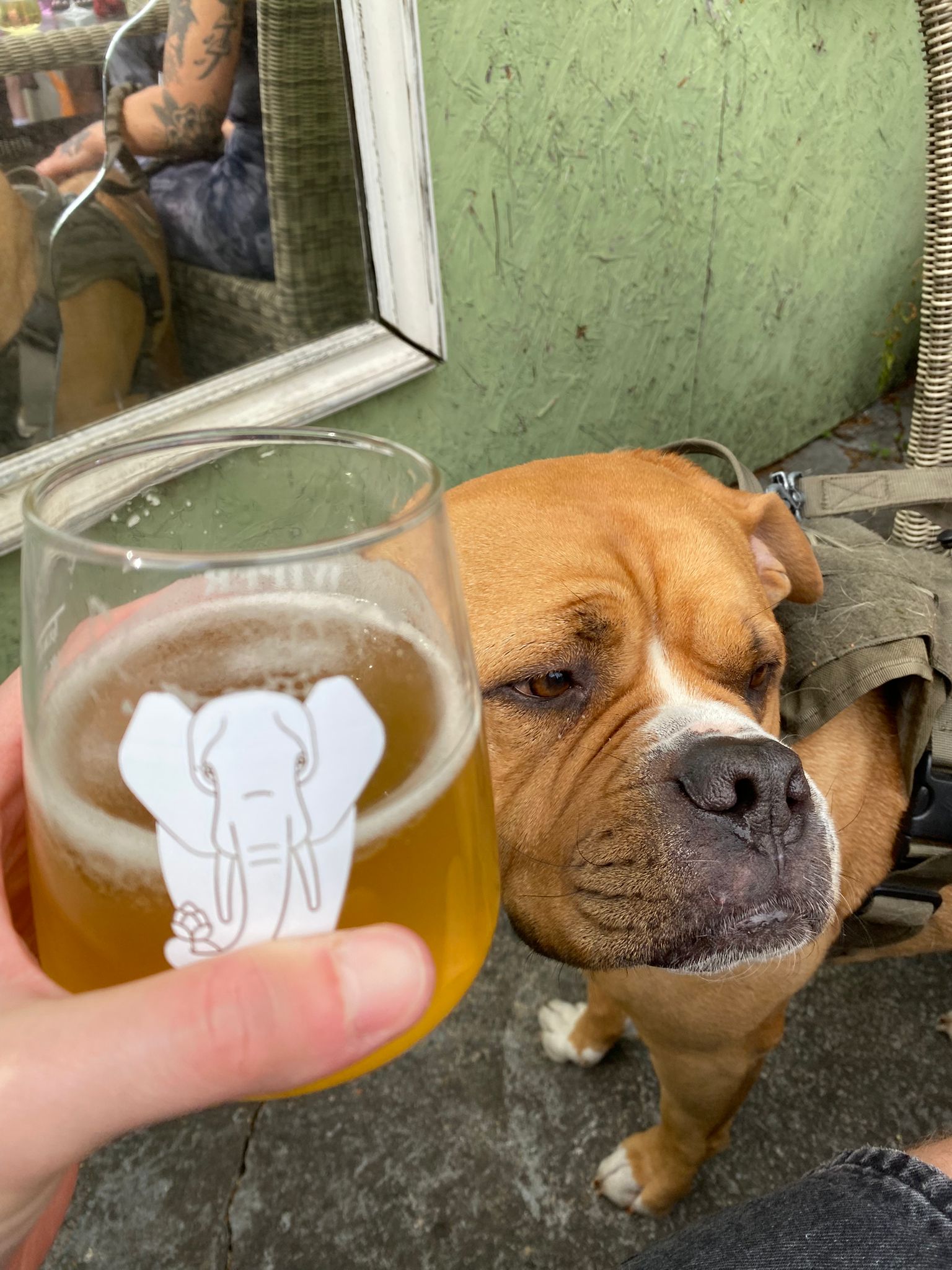 Beer #7858