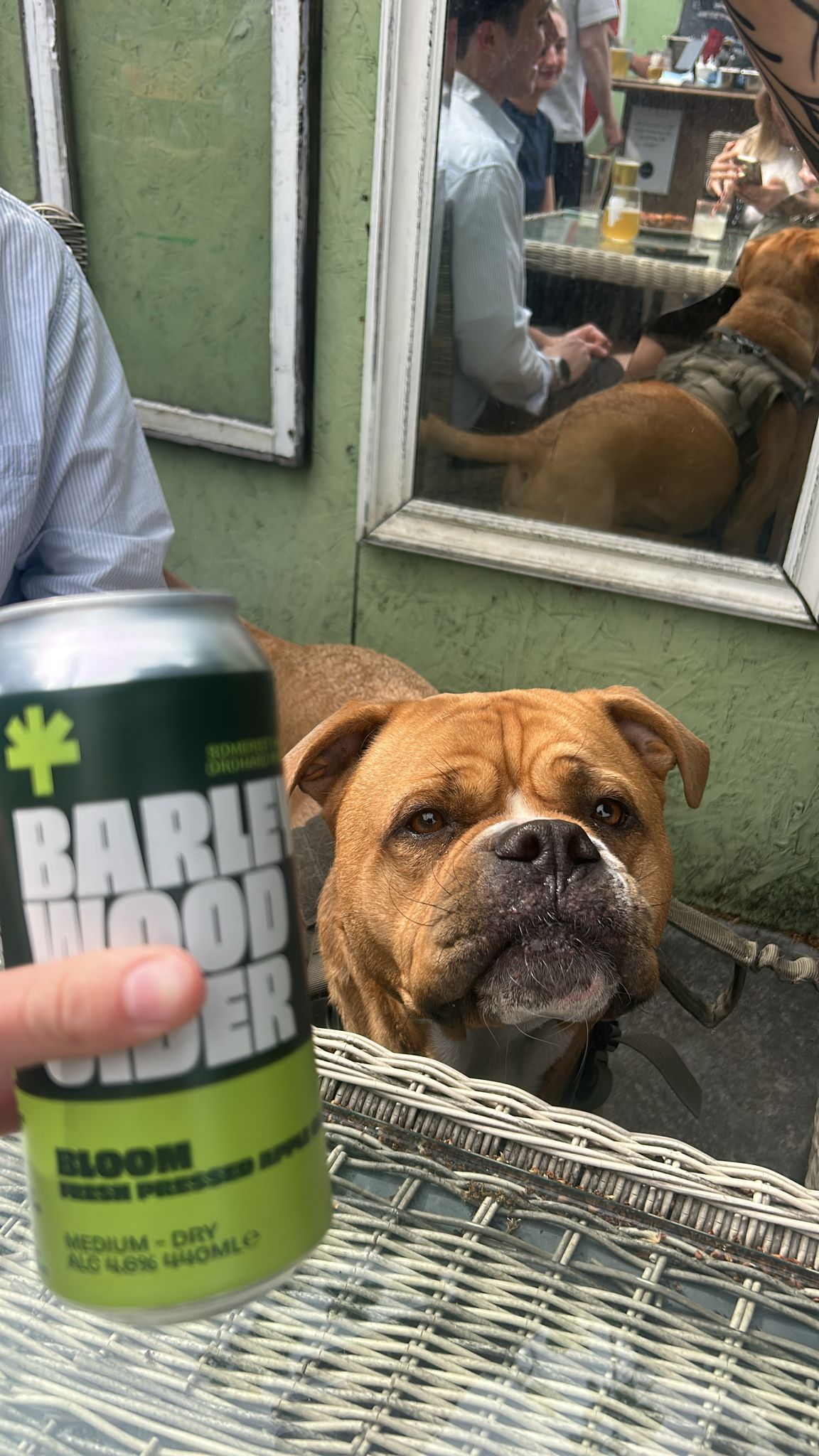 Beer #7859