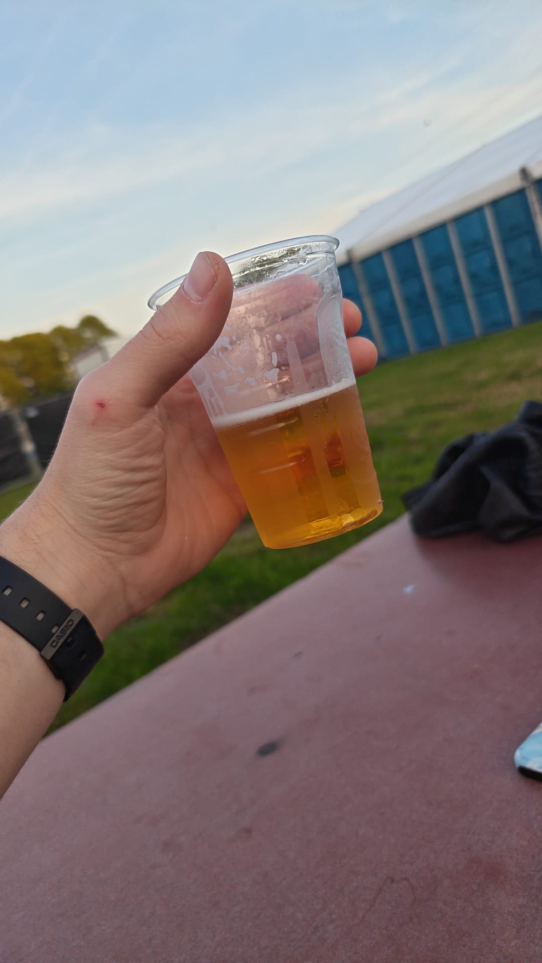 Beer #12554