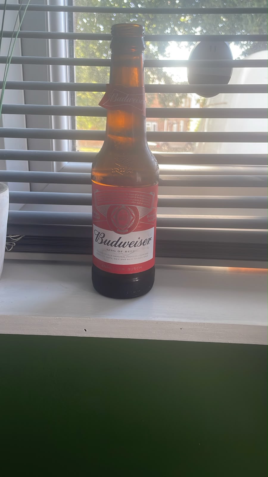 Beer #23137