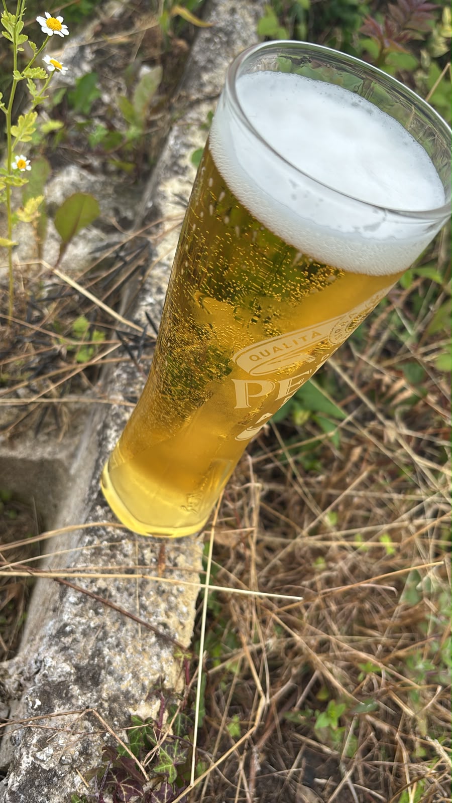 Beer #25293