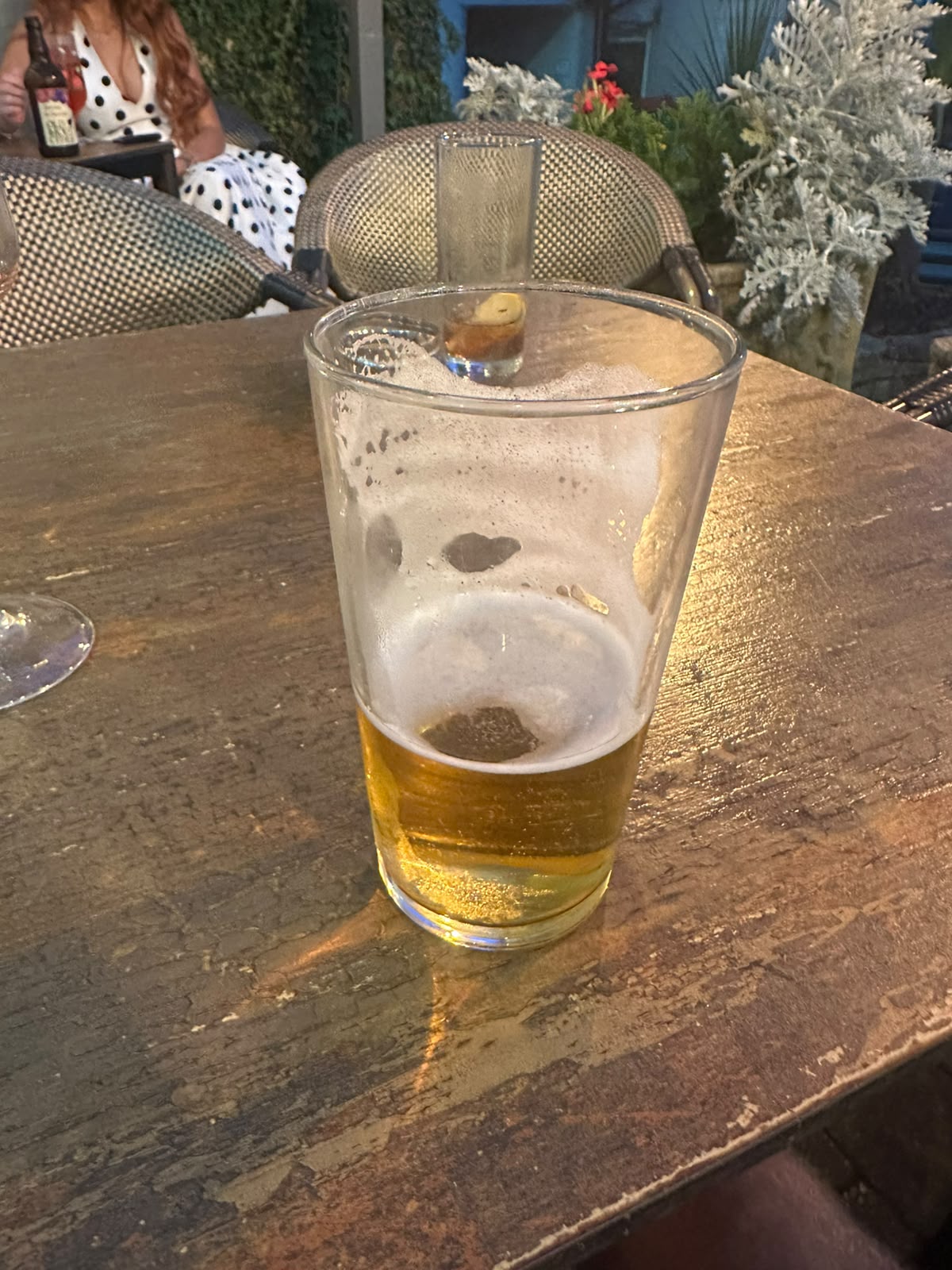 Beer #26036