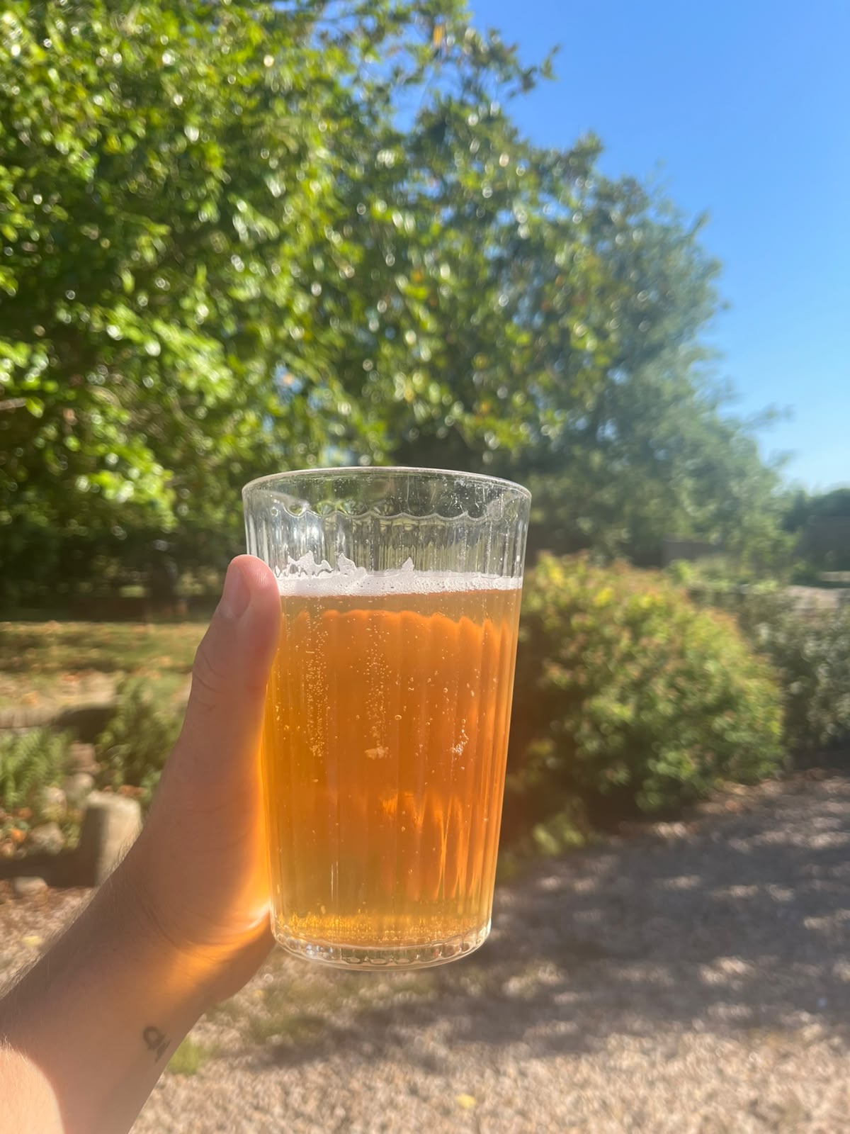 Beer #26186