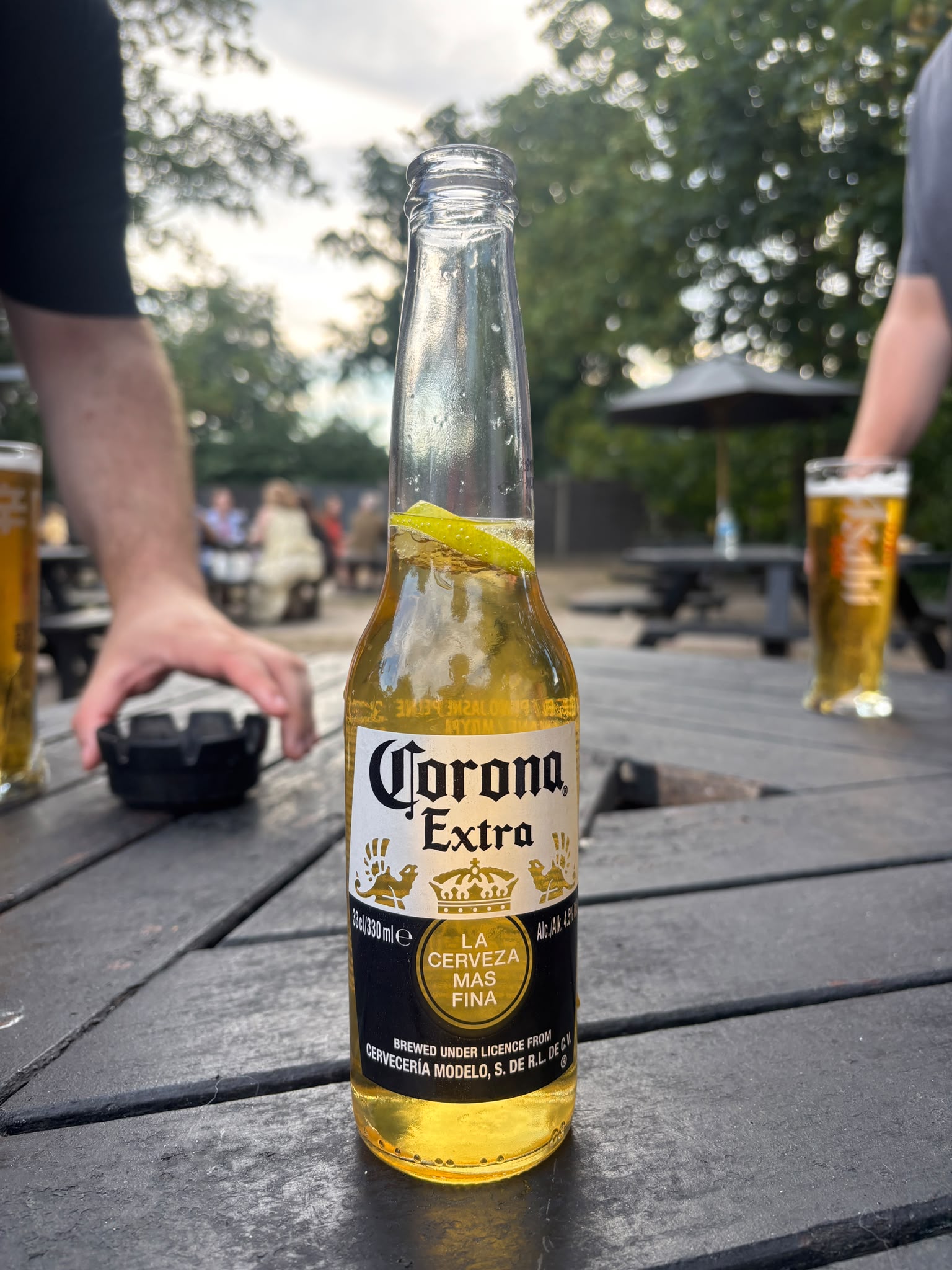 Beer #26254