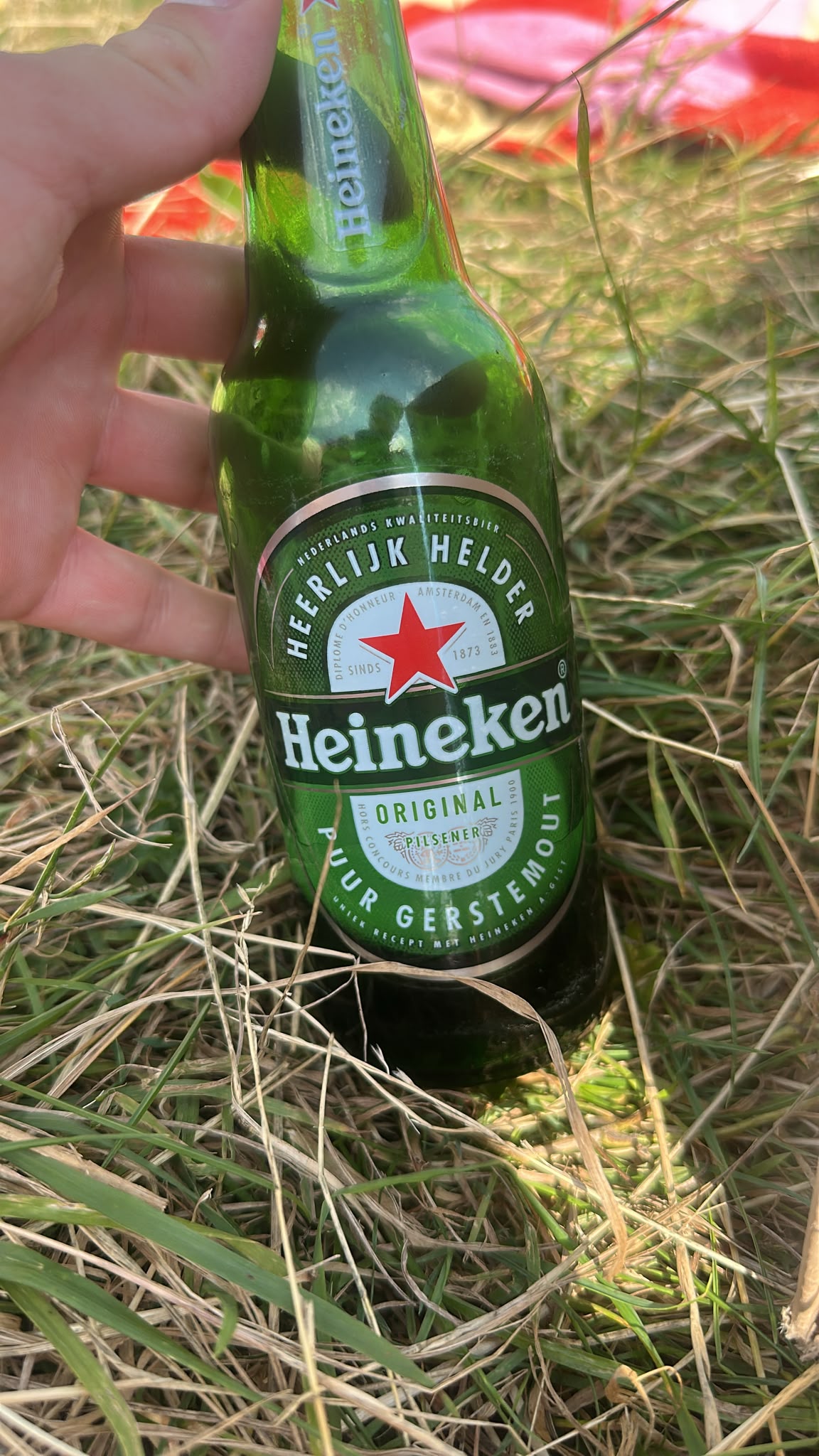 Beer #26699
