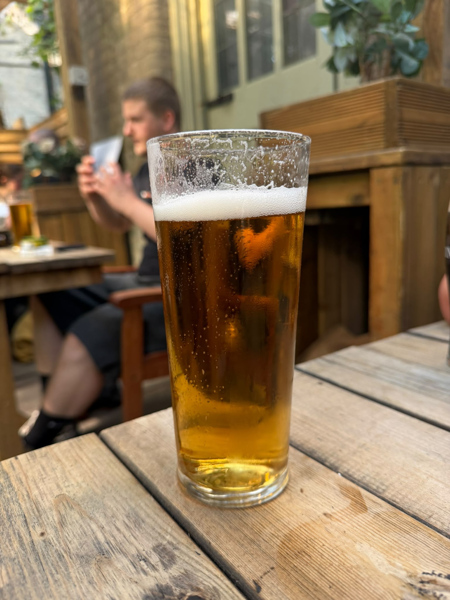 Beer #26736