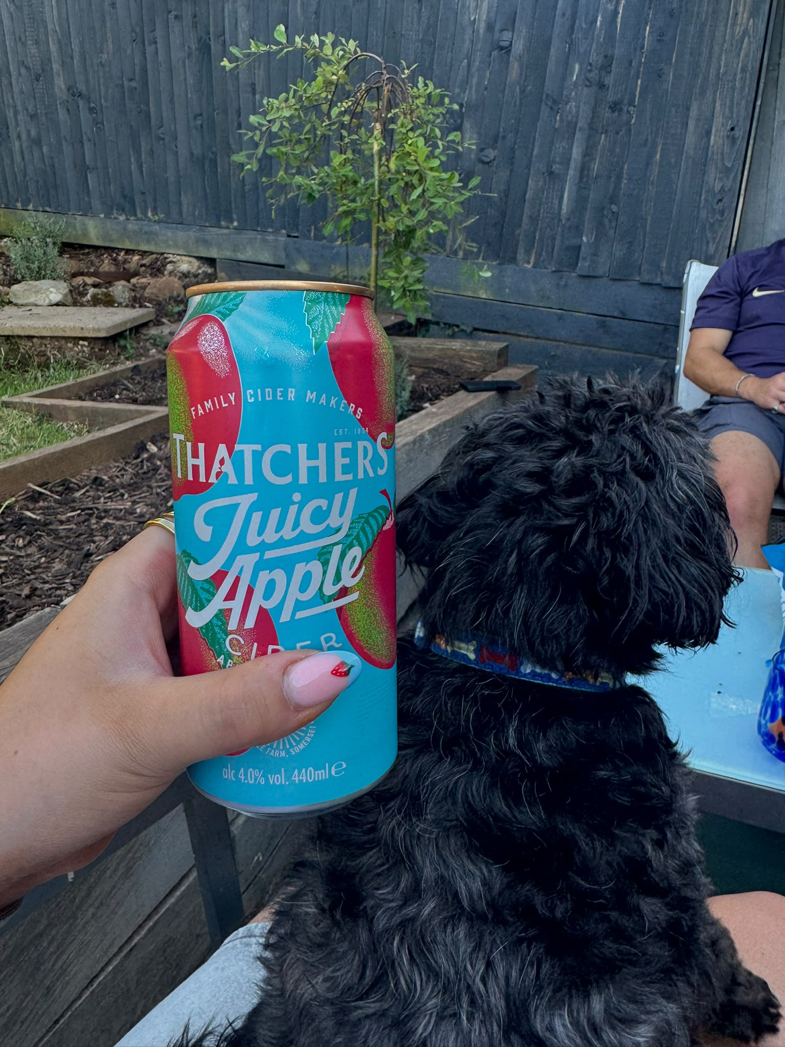 Beer #26975