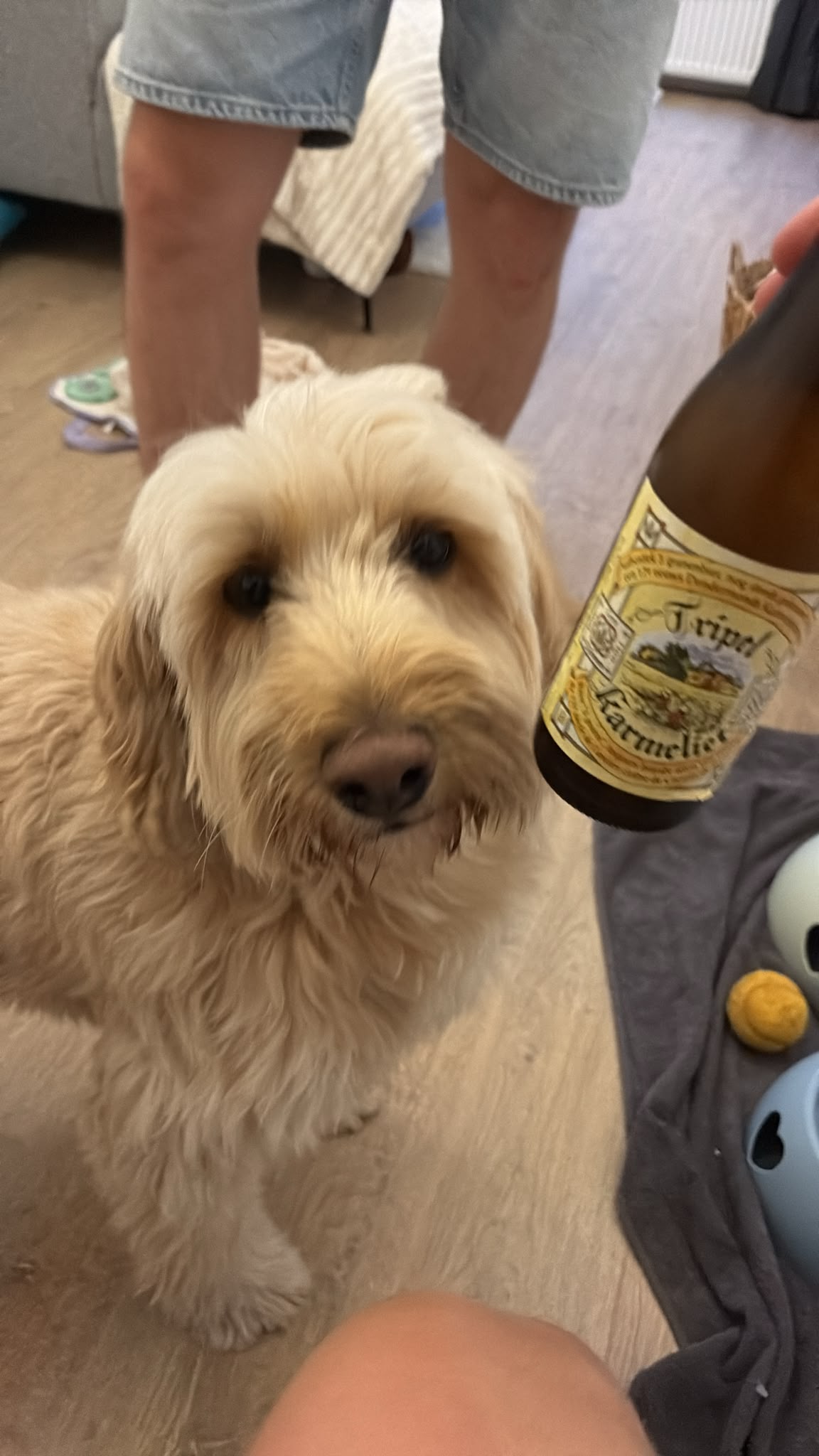 Beer #27725