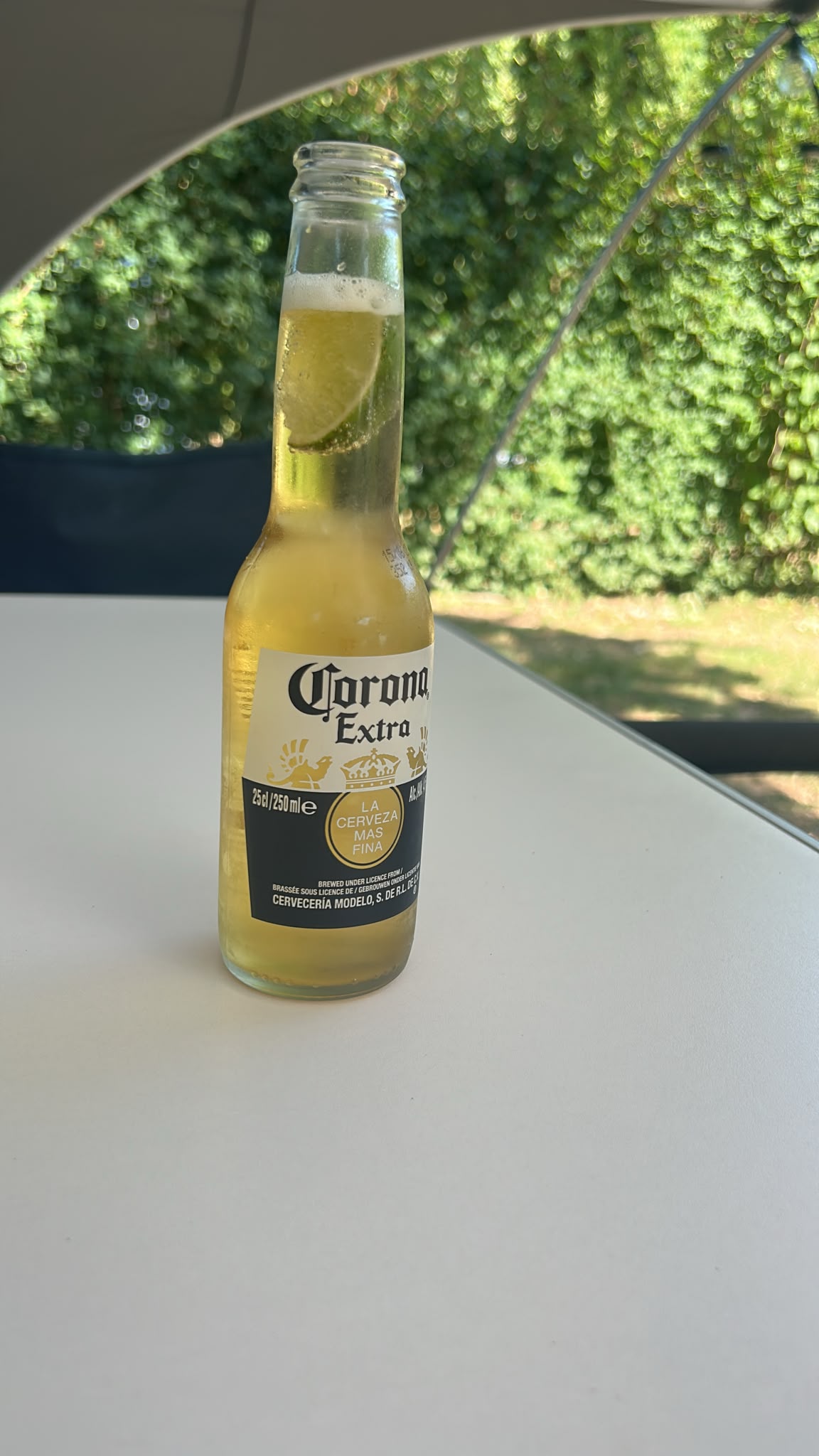 Beer #28062