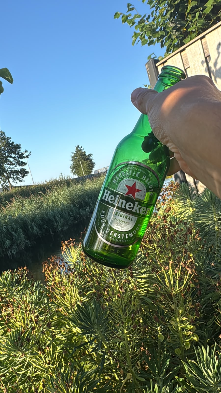 Beer #28119