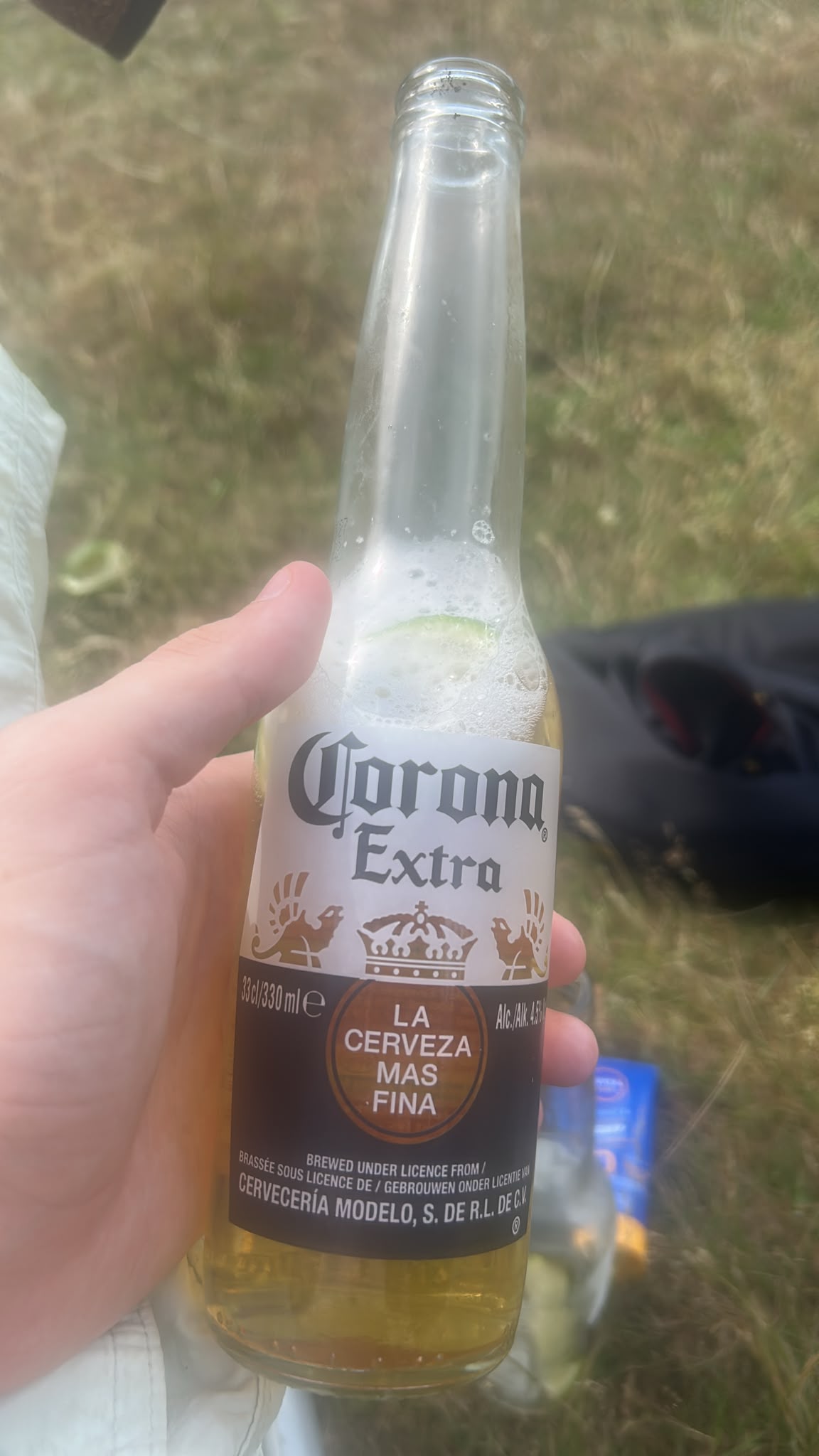 Beer #28371