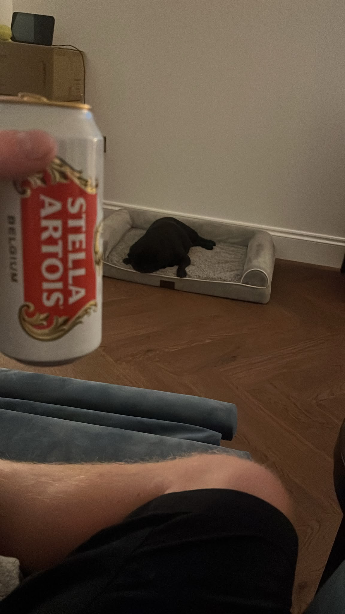 Beer #28918
