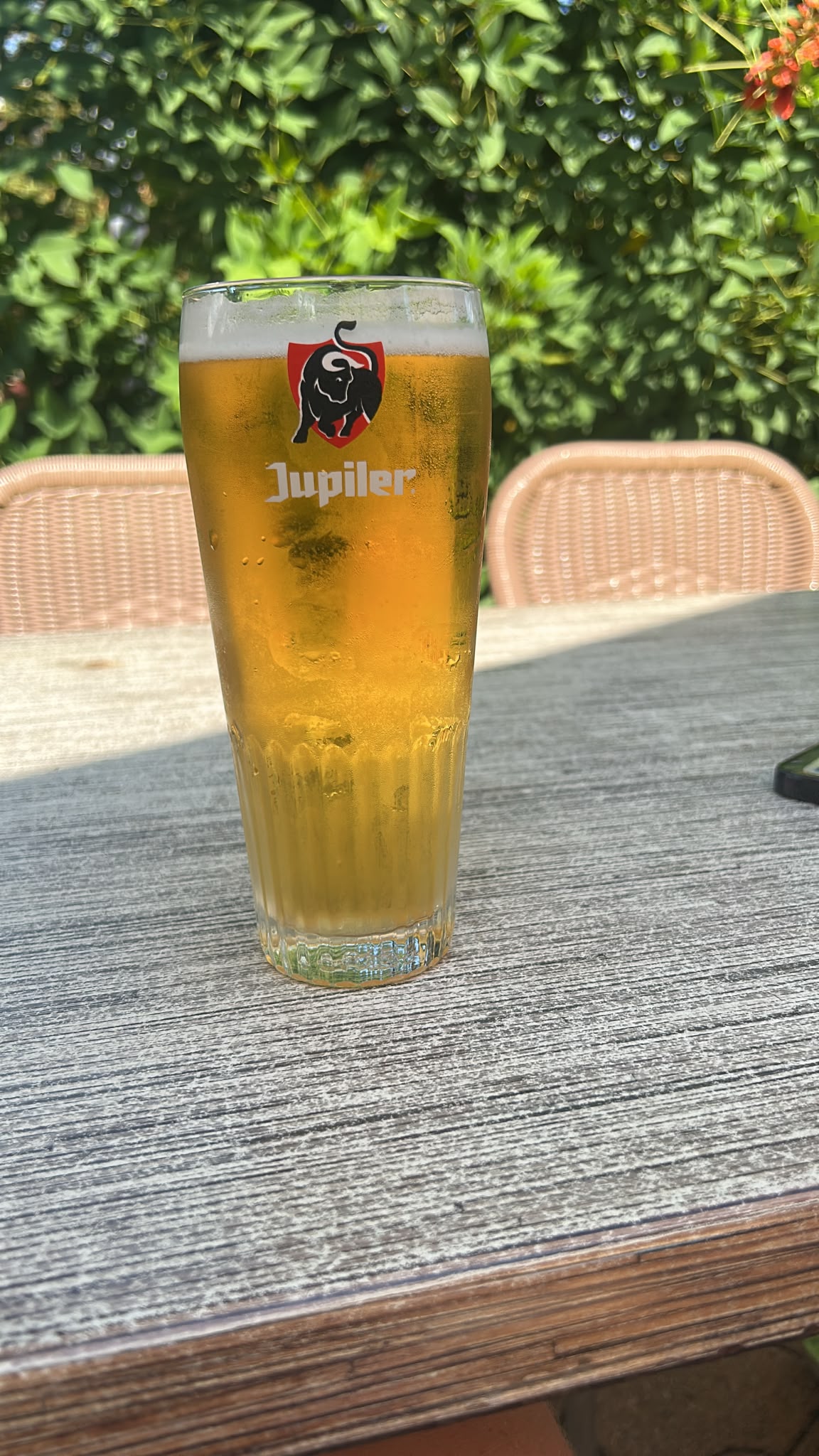 Beer #29312