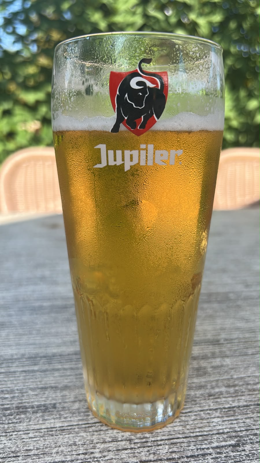 Beer #29335