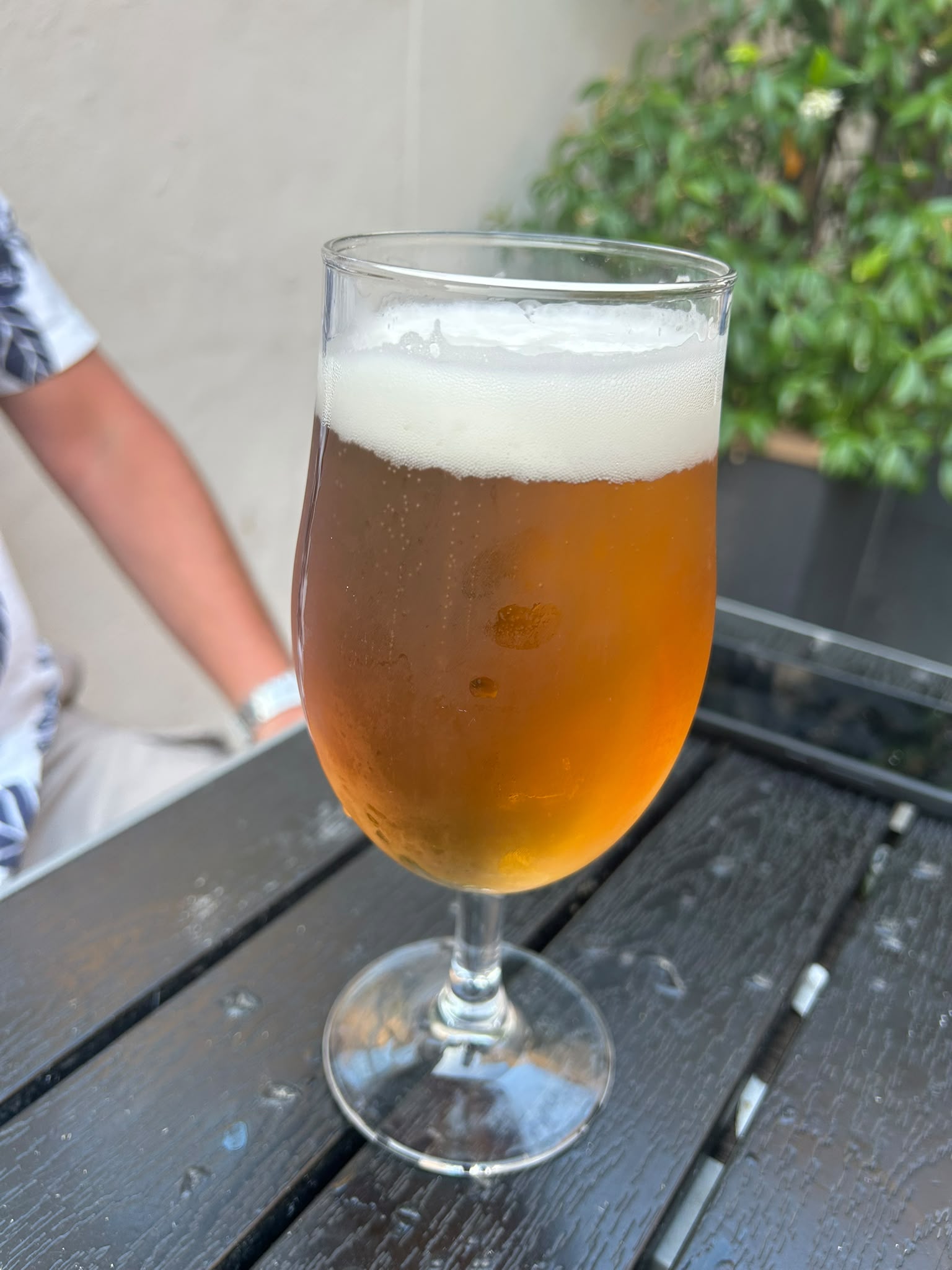 Beer #29494