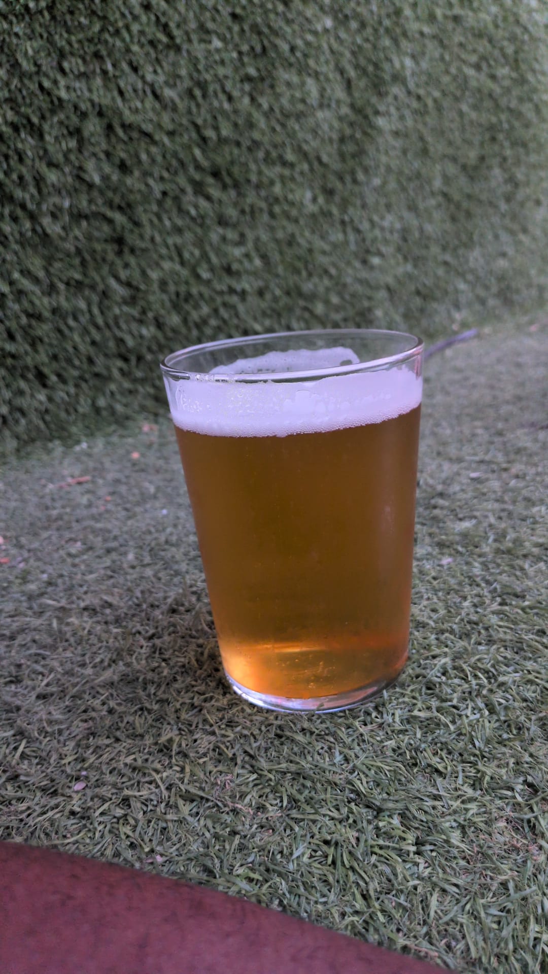 Beer #29600