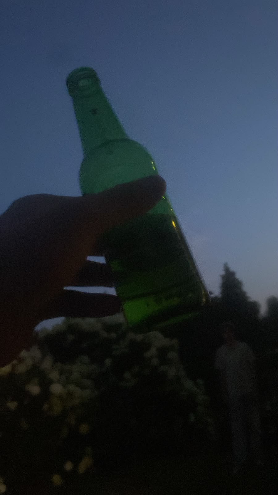 Beer #29606