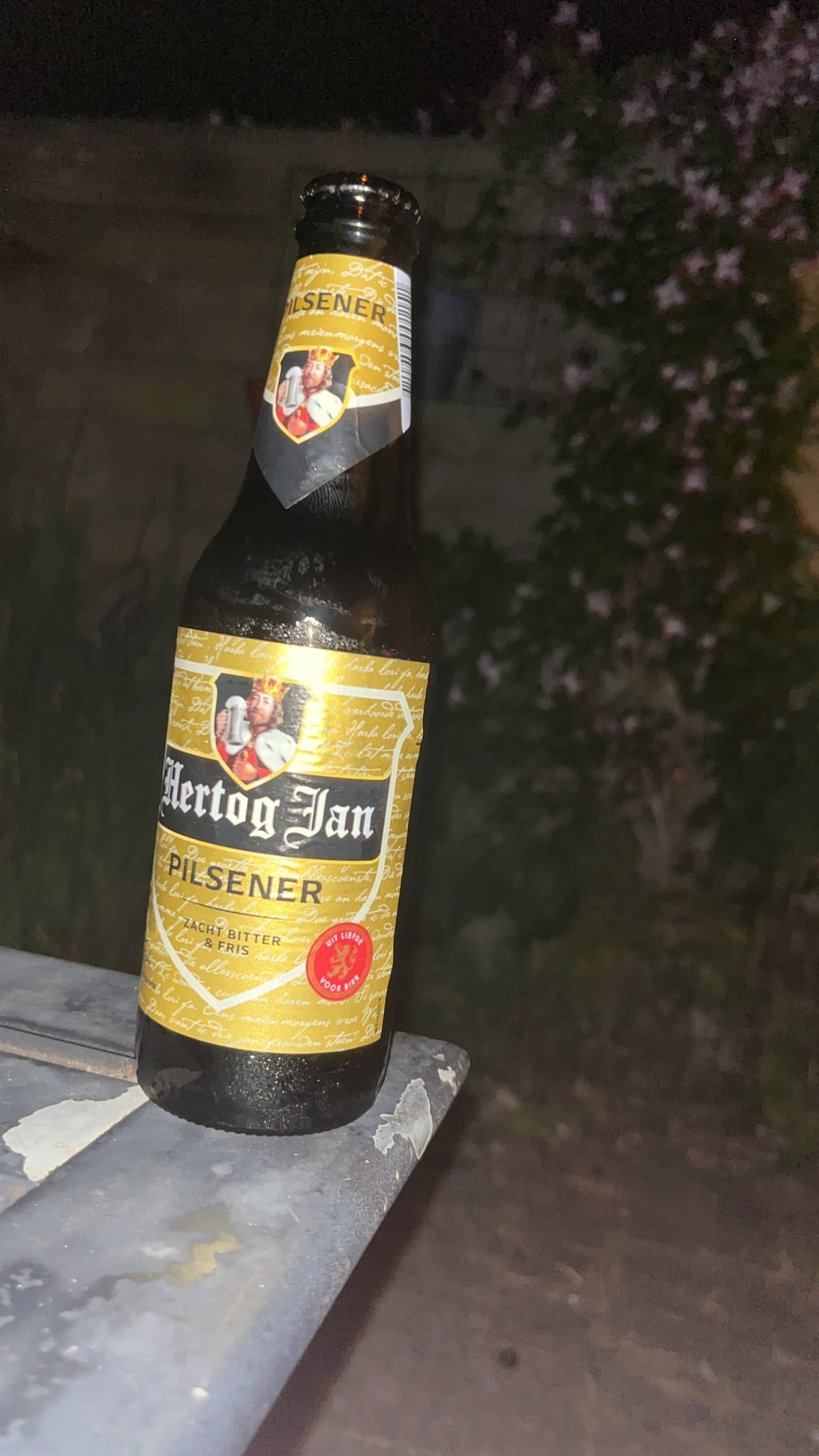 Beer #29731