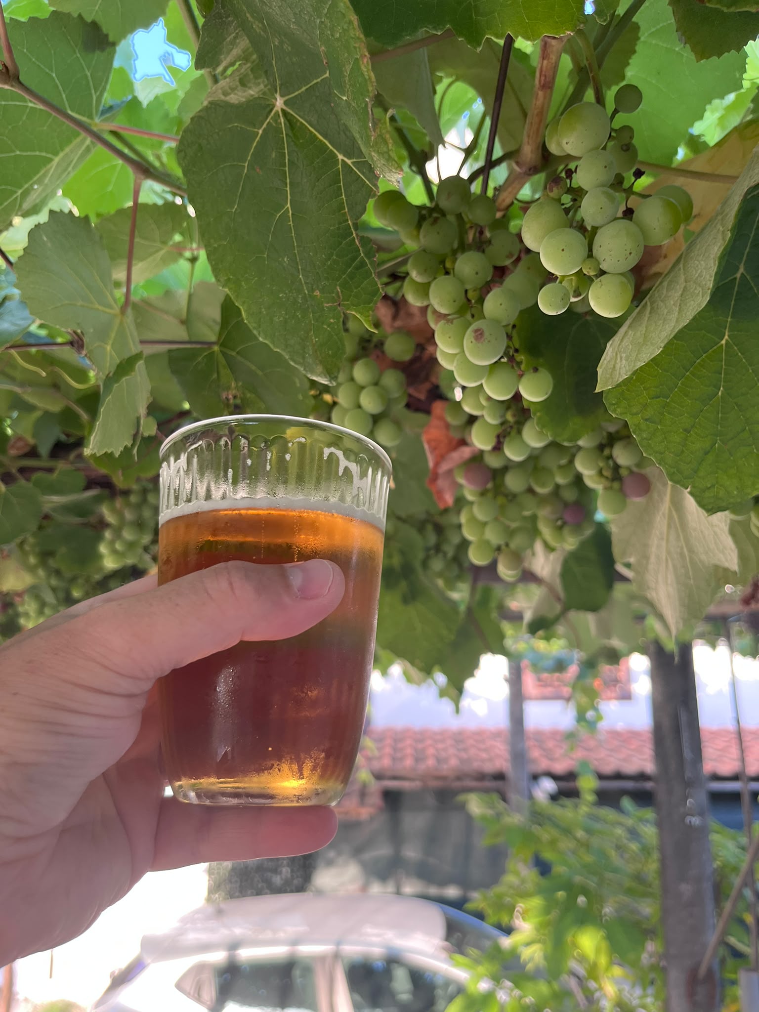 Beer #30056