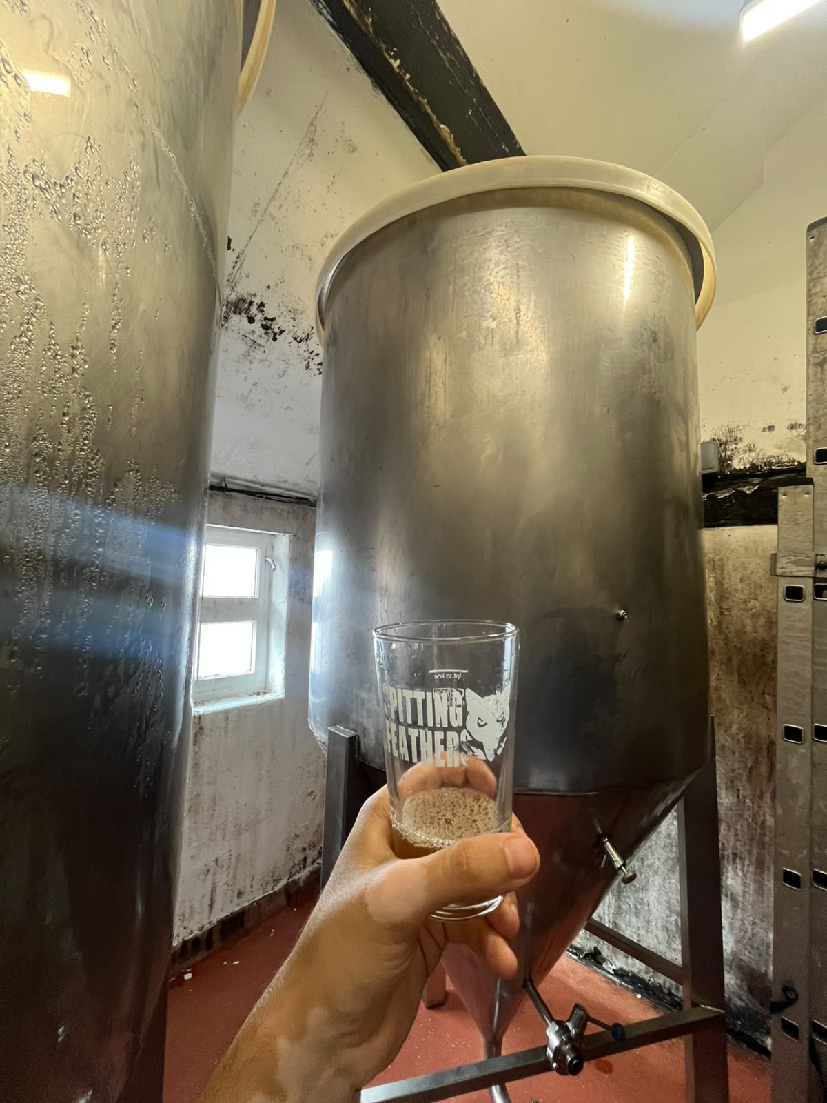 Beer #30069