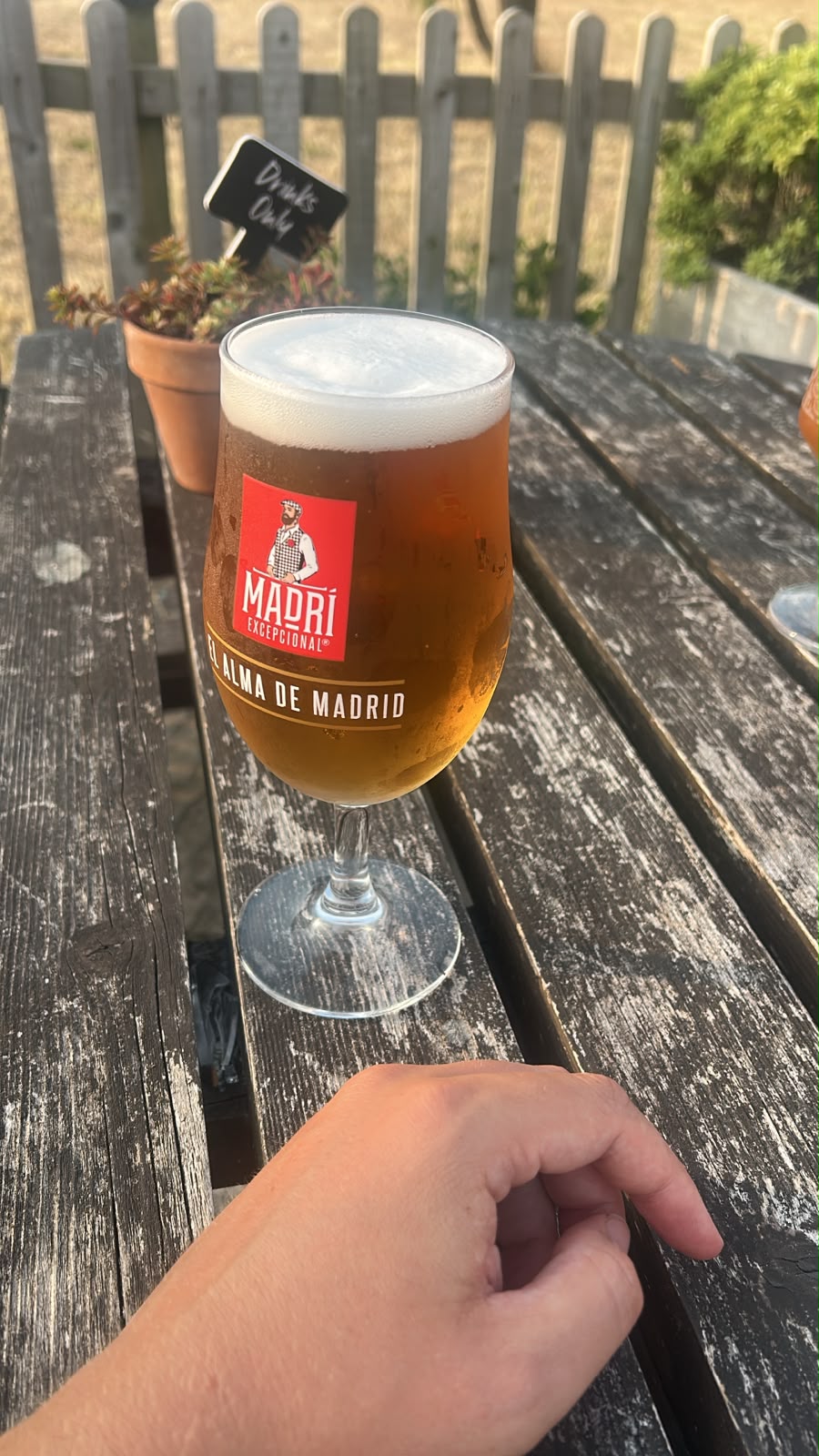 Beer #30323