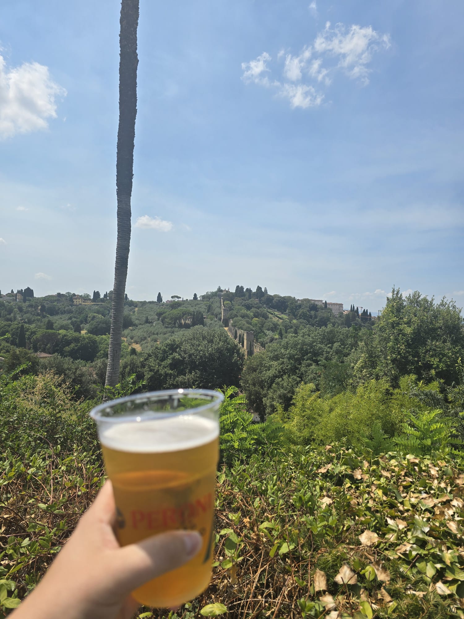 Beer #30588