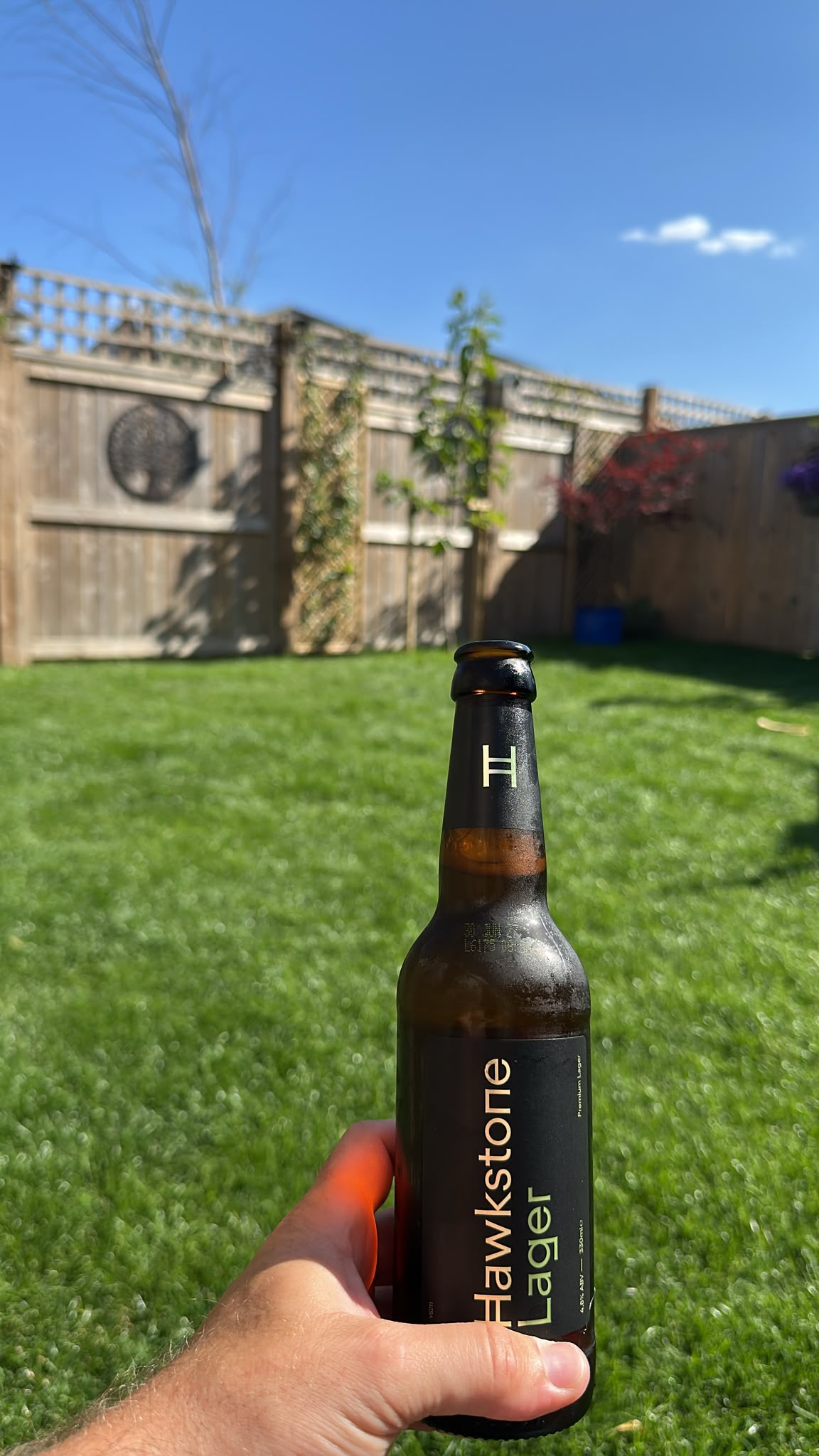 Beer #30677