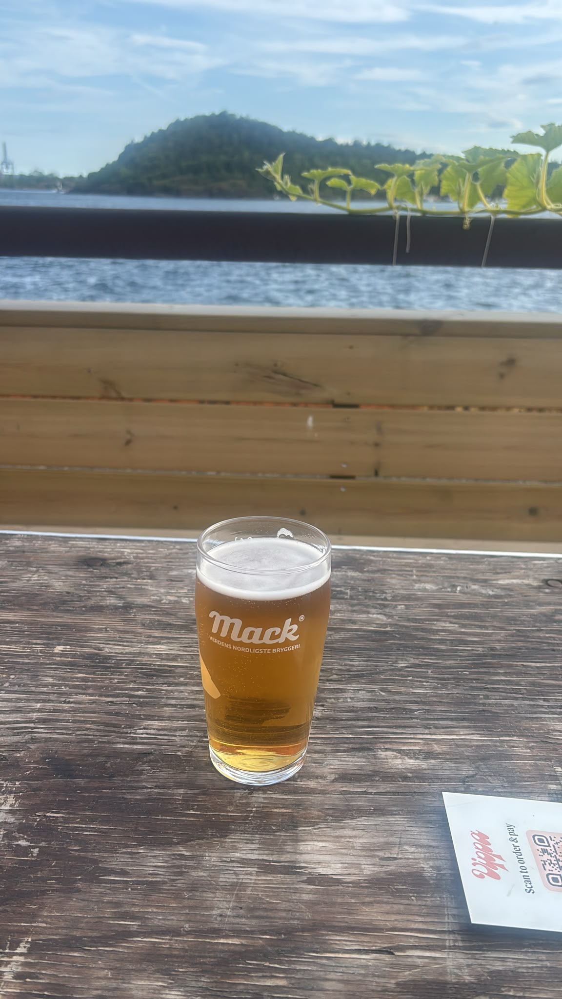 Beer #31327