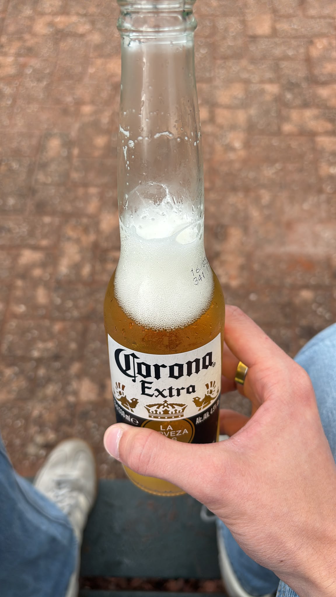 Beer #31371