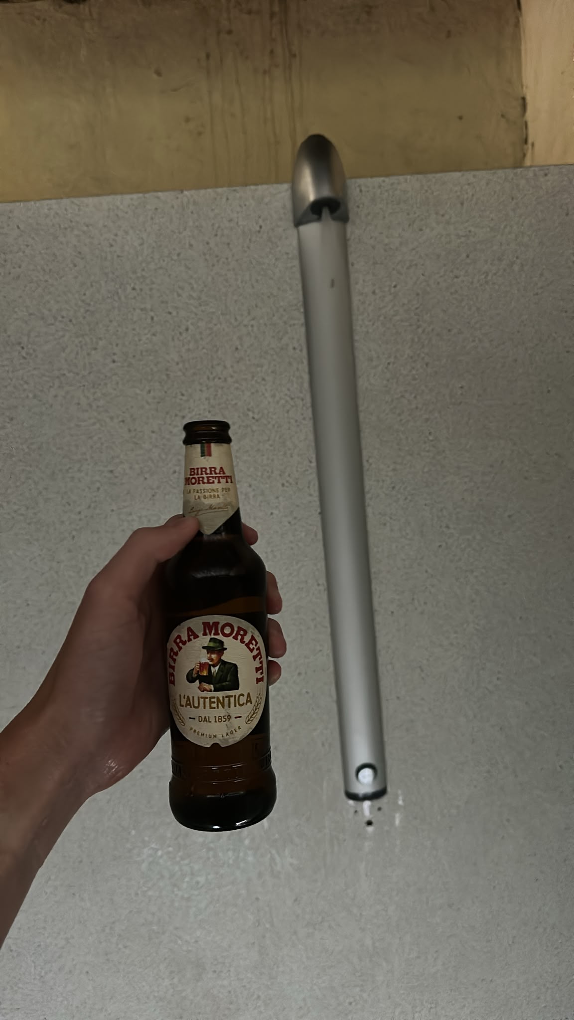 Beer #31372