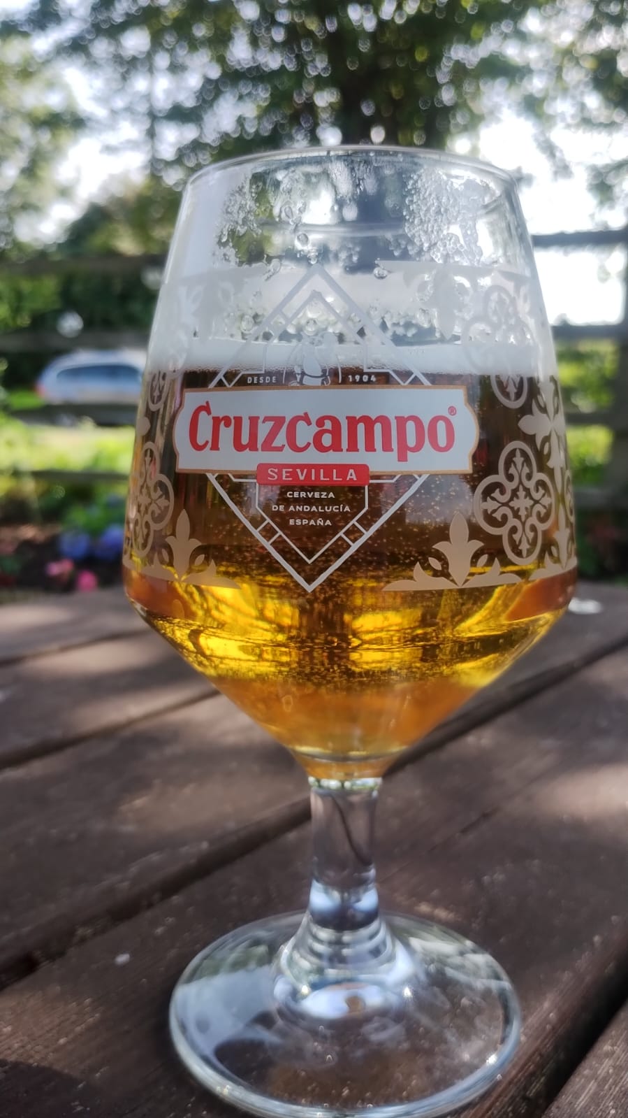 Beer #31554