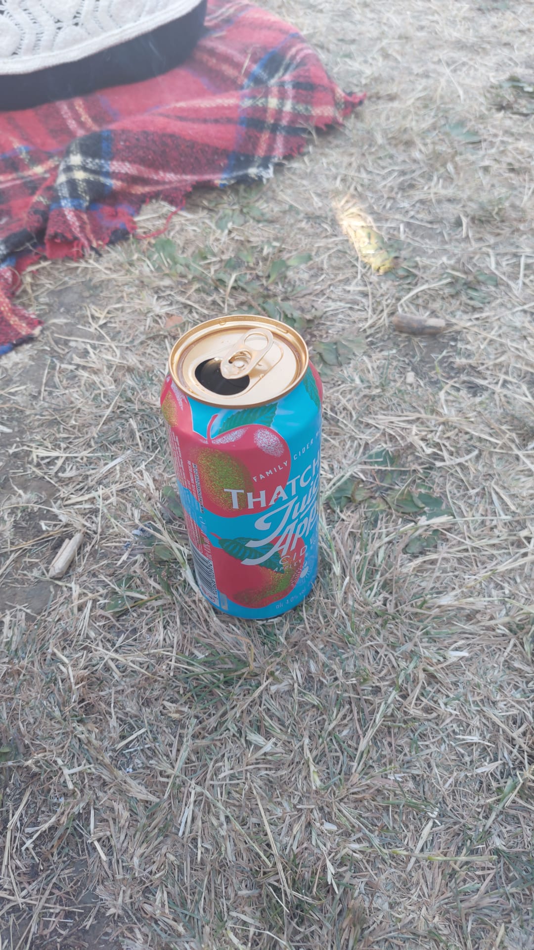 Beer #32487
