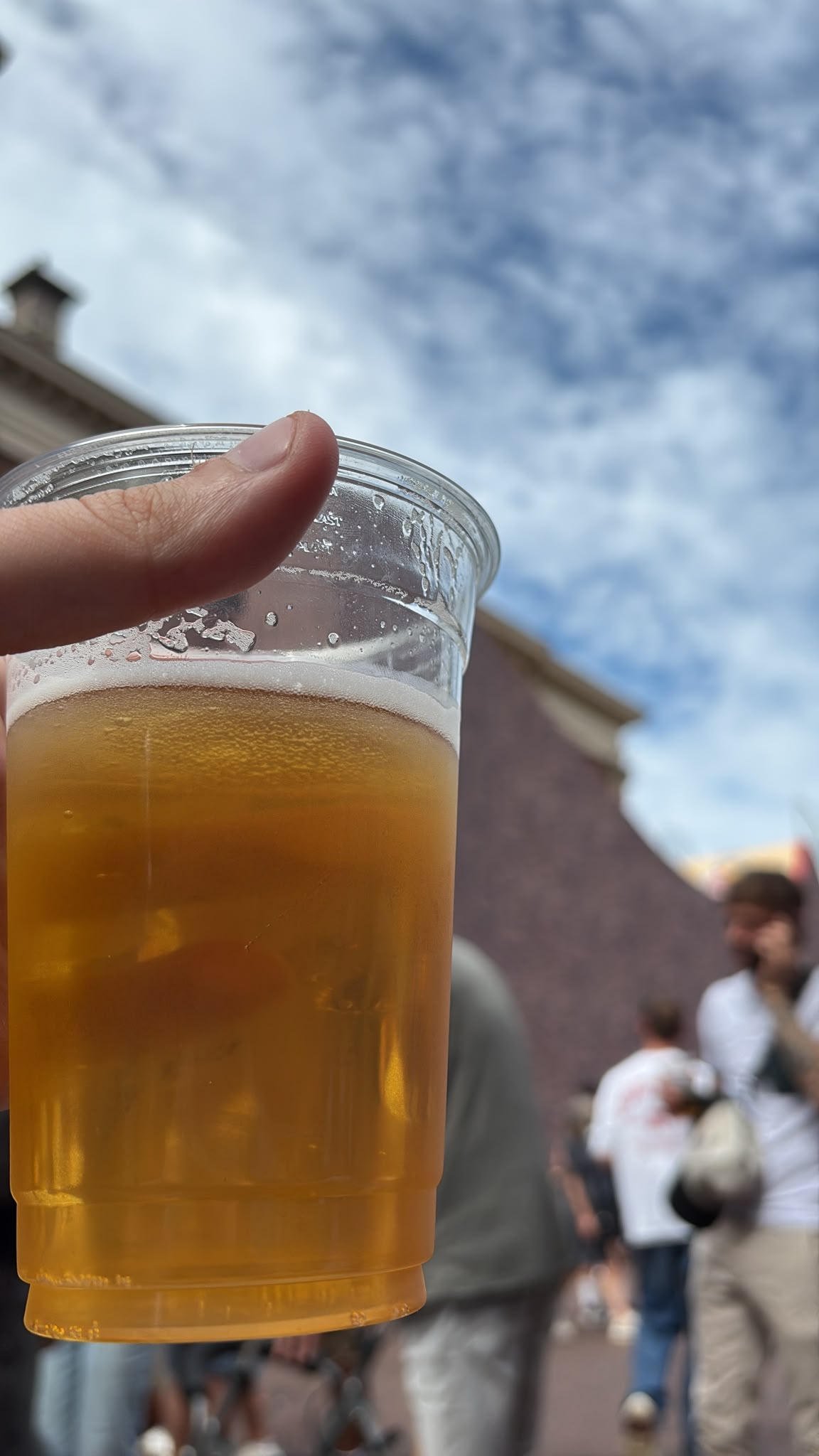 Beer #33008
