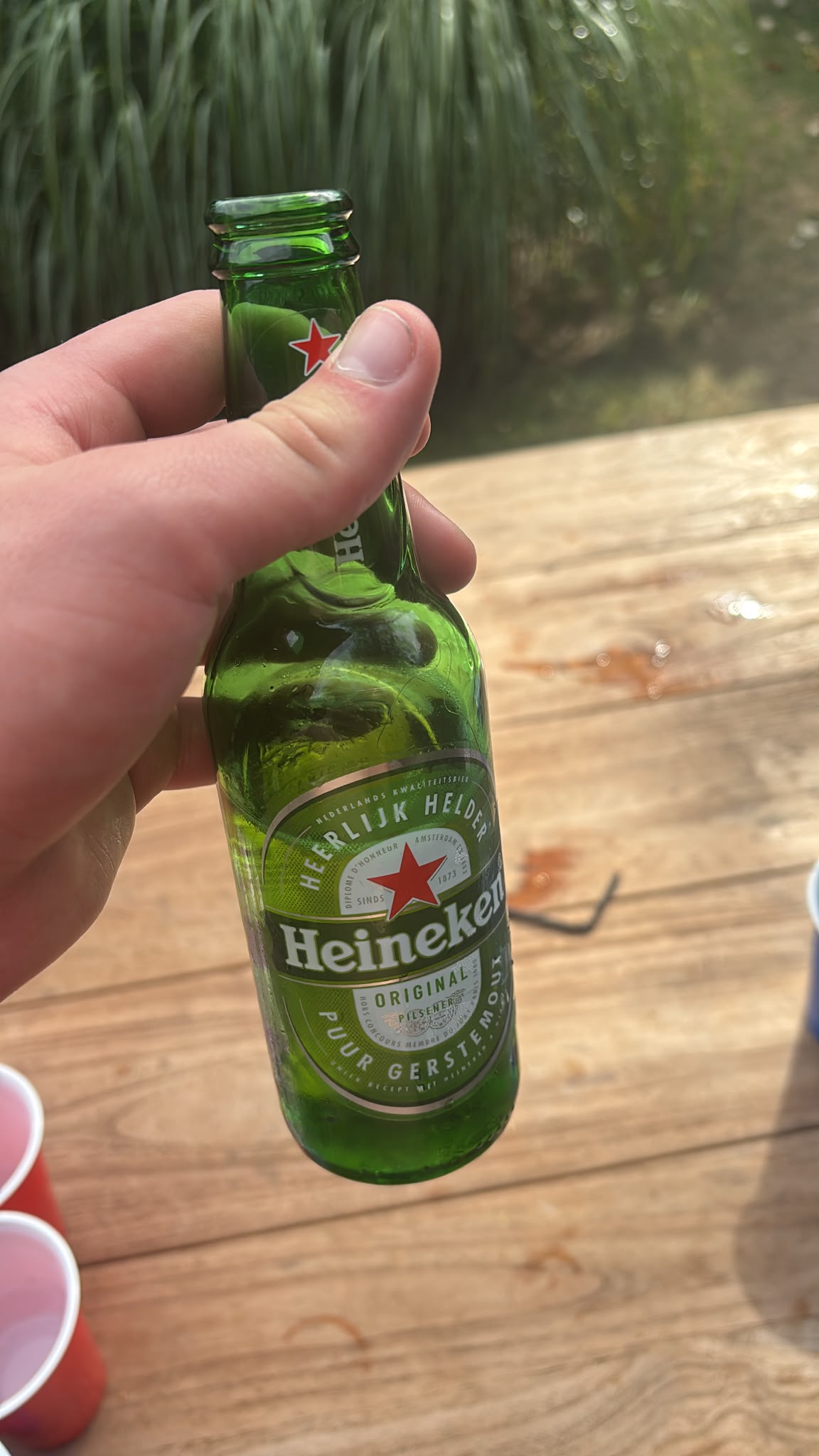 Beer #33056