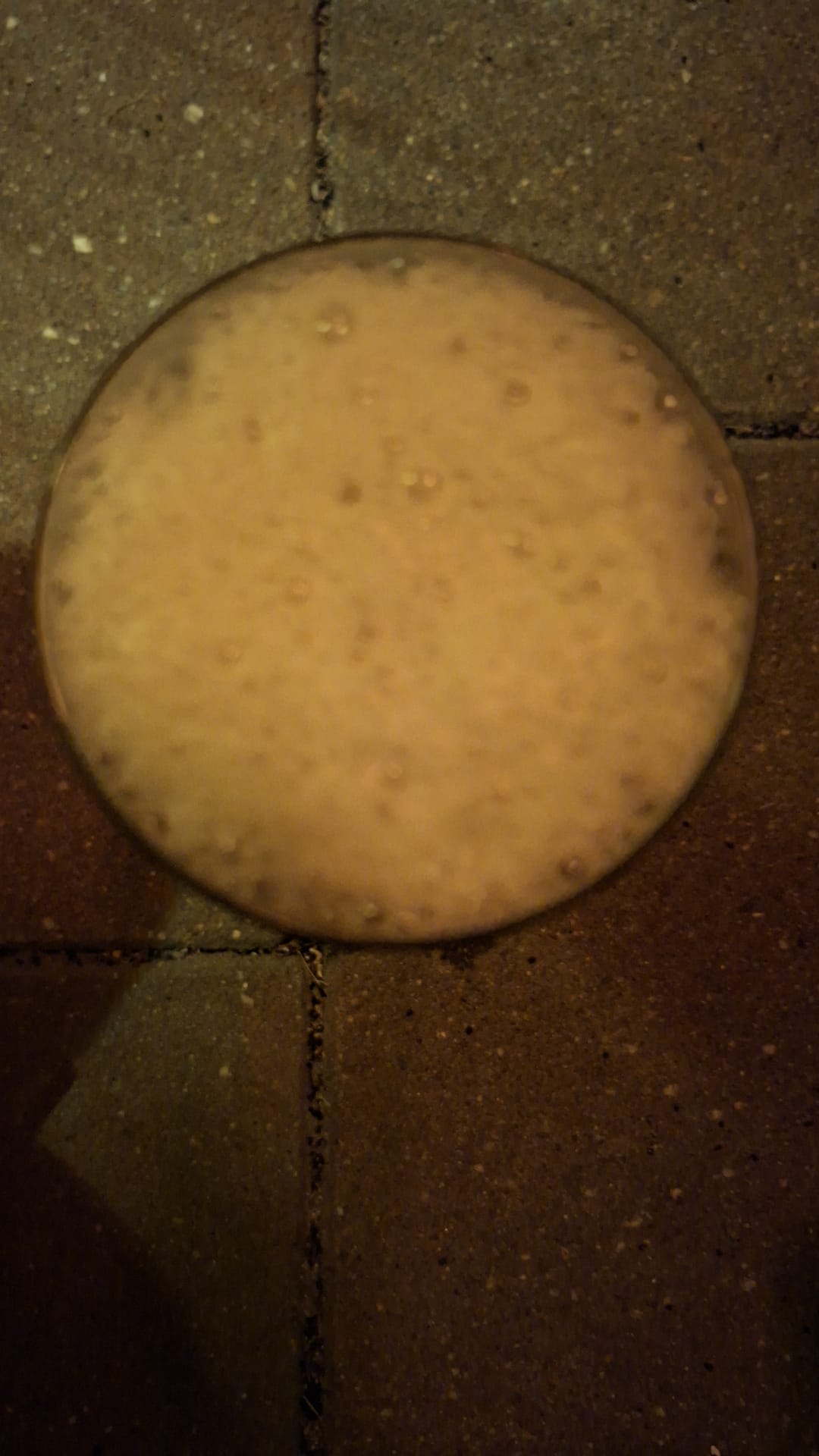 Beer #33487