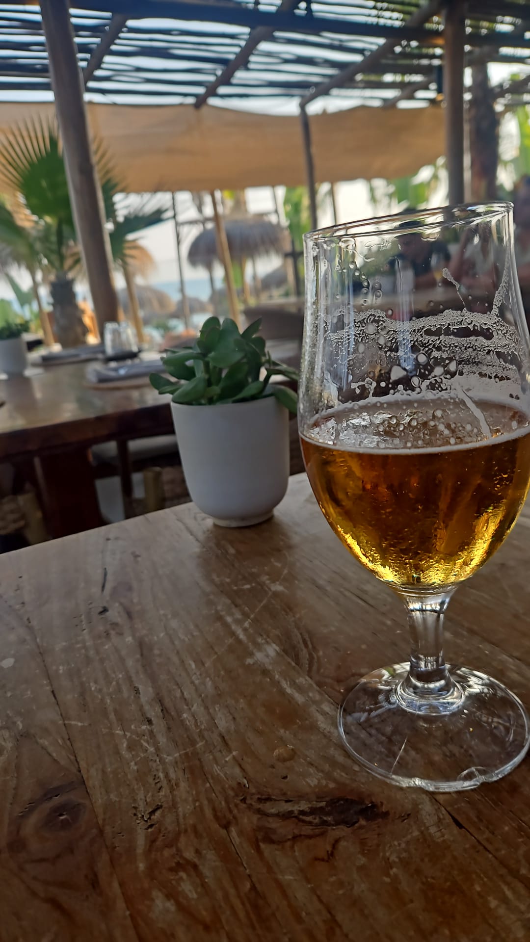 Beer #33973