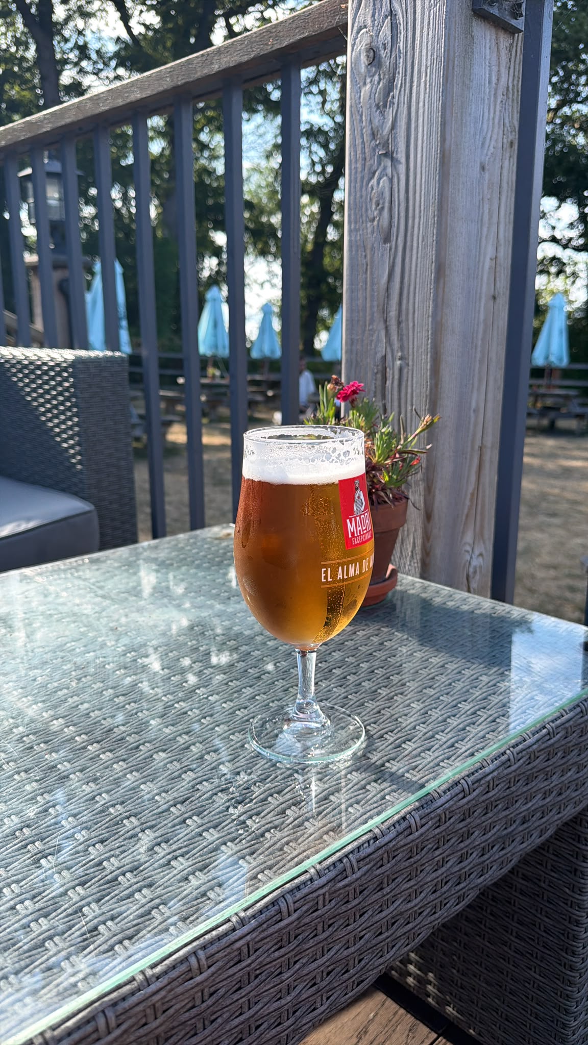 Beer #34214