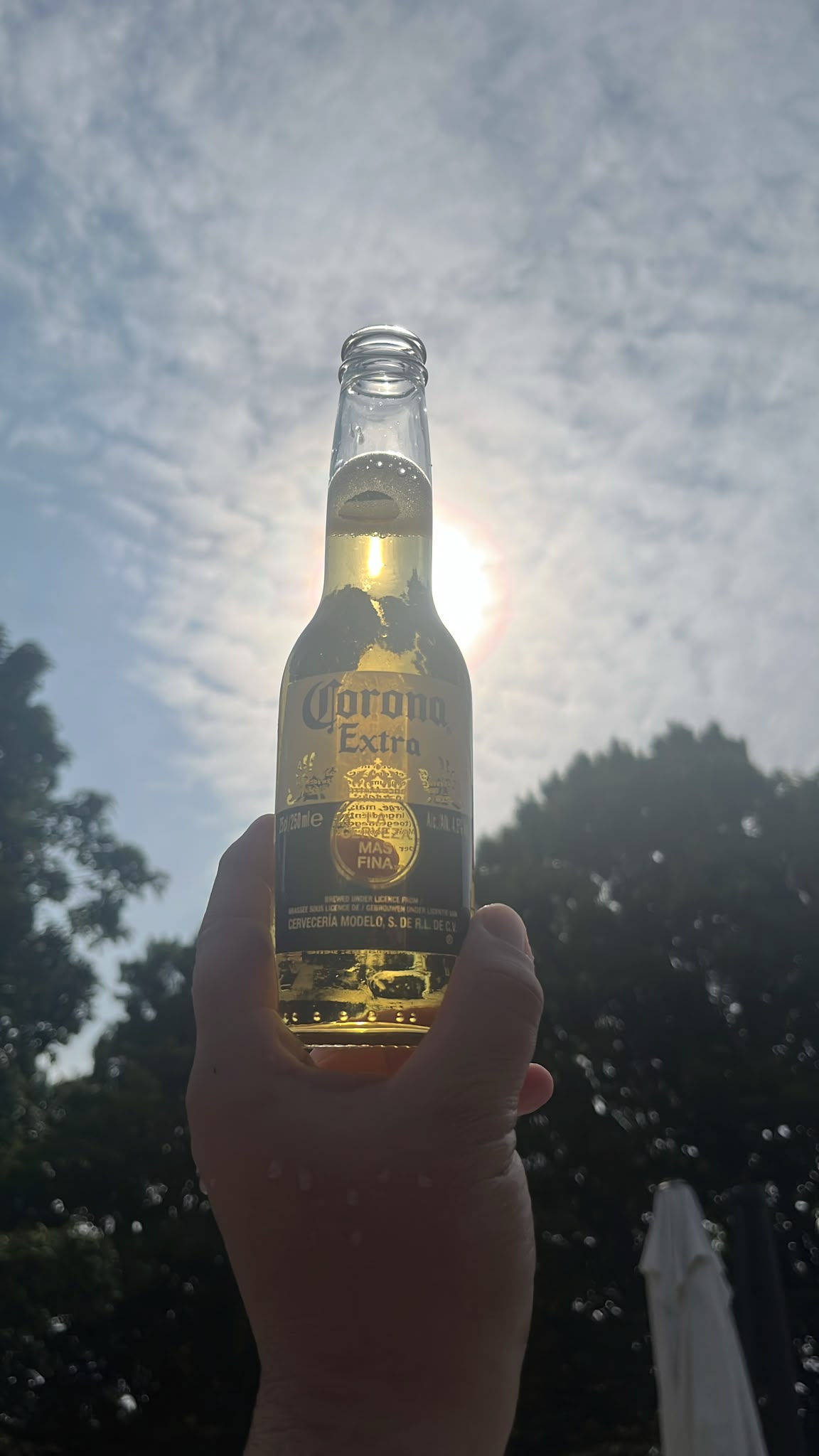 Beer #35463